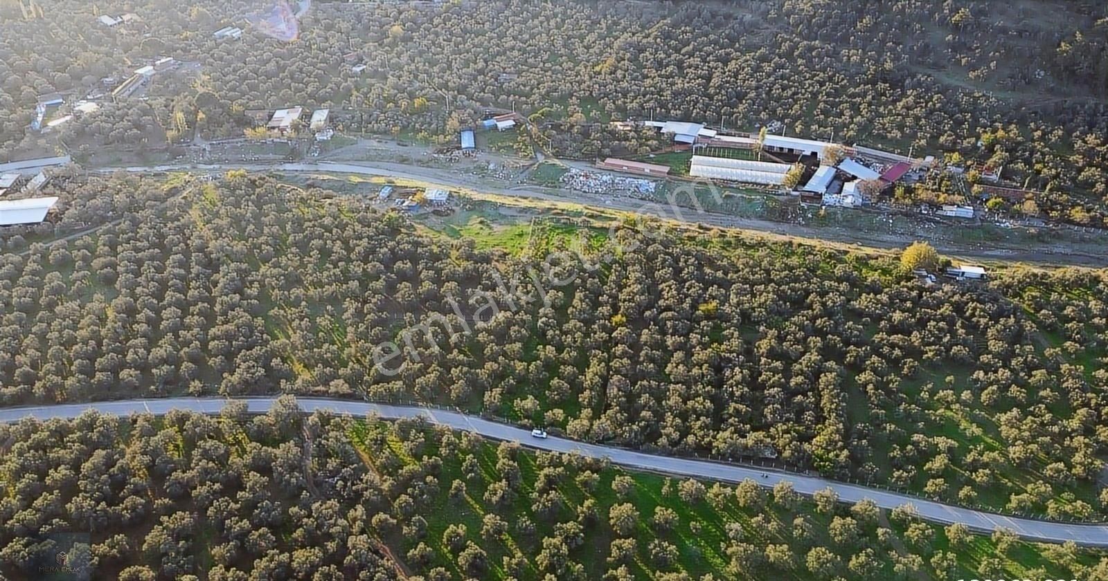 ▀▄mera Emlaktan Hamambaşı Mah. Asfalta Cephe 4.225m2 Zeytinlik - Görsel 7