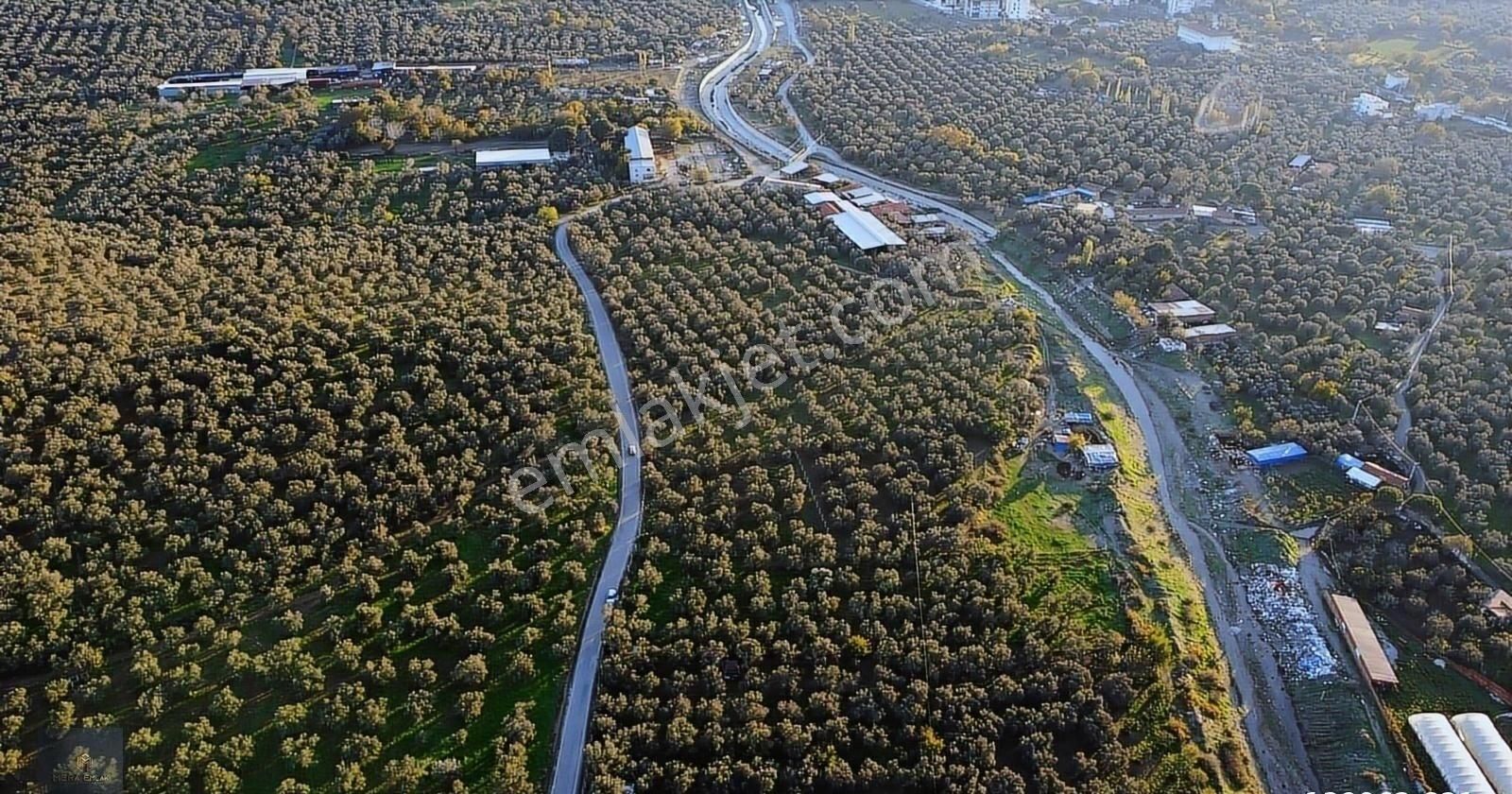 ▀▄mera Emlaktan Hamambaşı Mah. Asfalta Cephe 4.225m2 Zeytinlik - Görsel 3