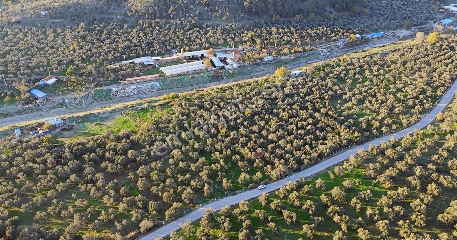 ▀▄mera Emlaktan Hamambaşı Mah. Asfalta Cephe 4.225m2 Zeytinlik - Görsel 30
