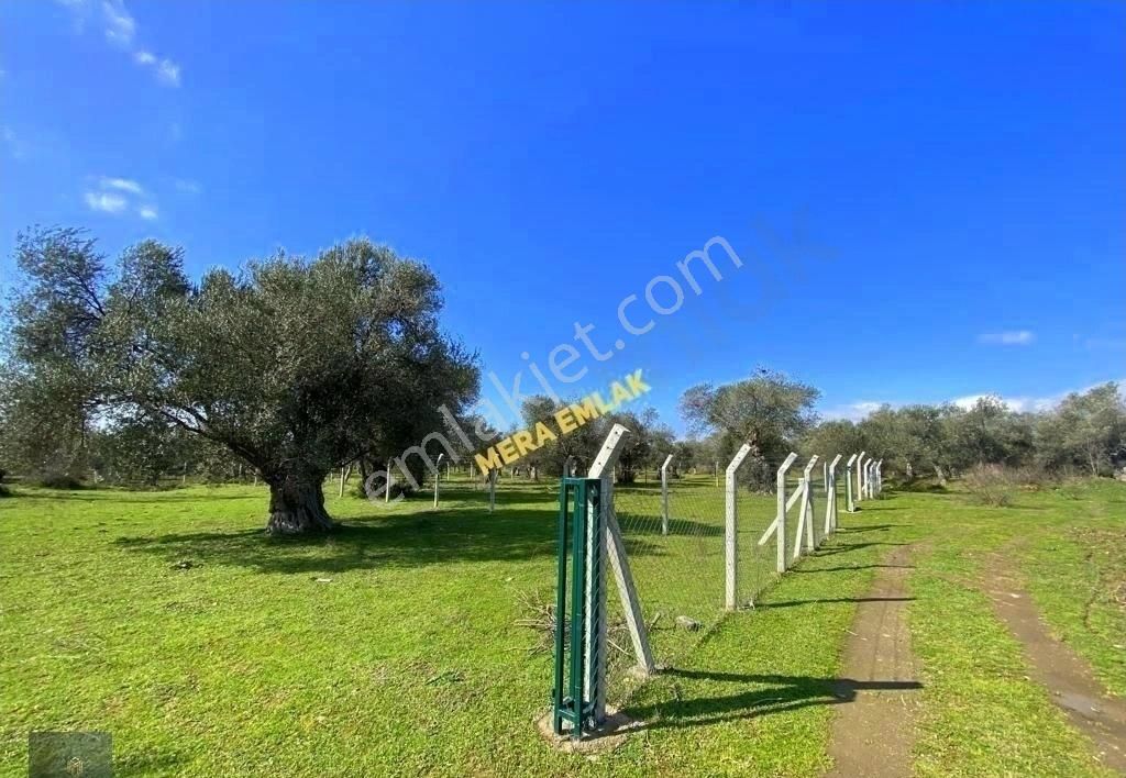 ▀▄mera Emlaktan Kipa Avm'ye Çok Yakın 953m2 Sanayi İmarlı Arsa▀▄ - Görsel 13