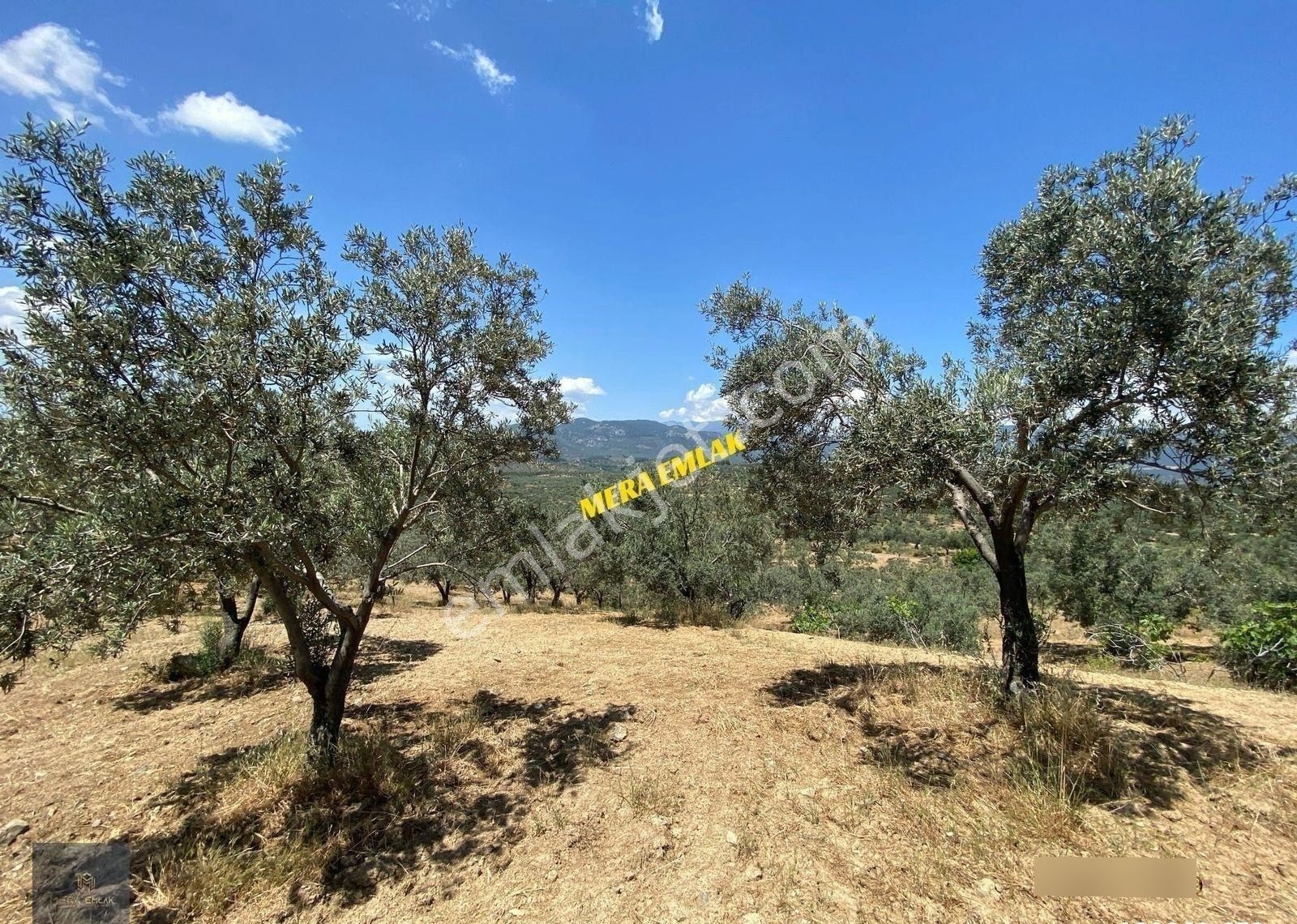▀▄mera Emlaktan Yaylaönü Mevkiğinde 17 Dönüm Satılık Zeytinlik - Görsel 25