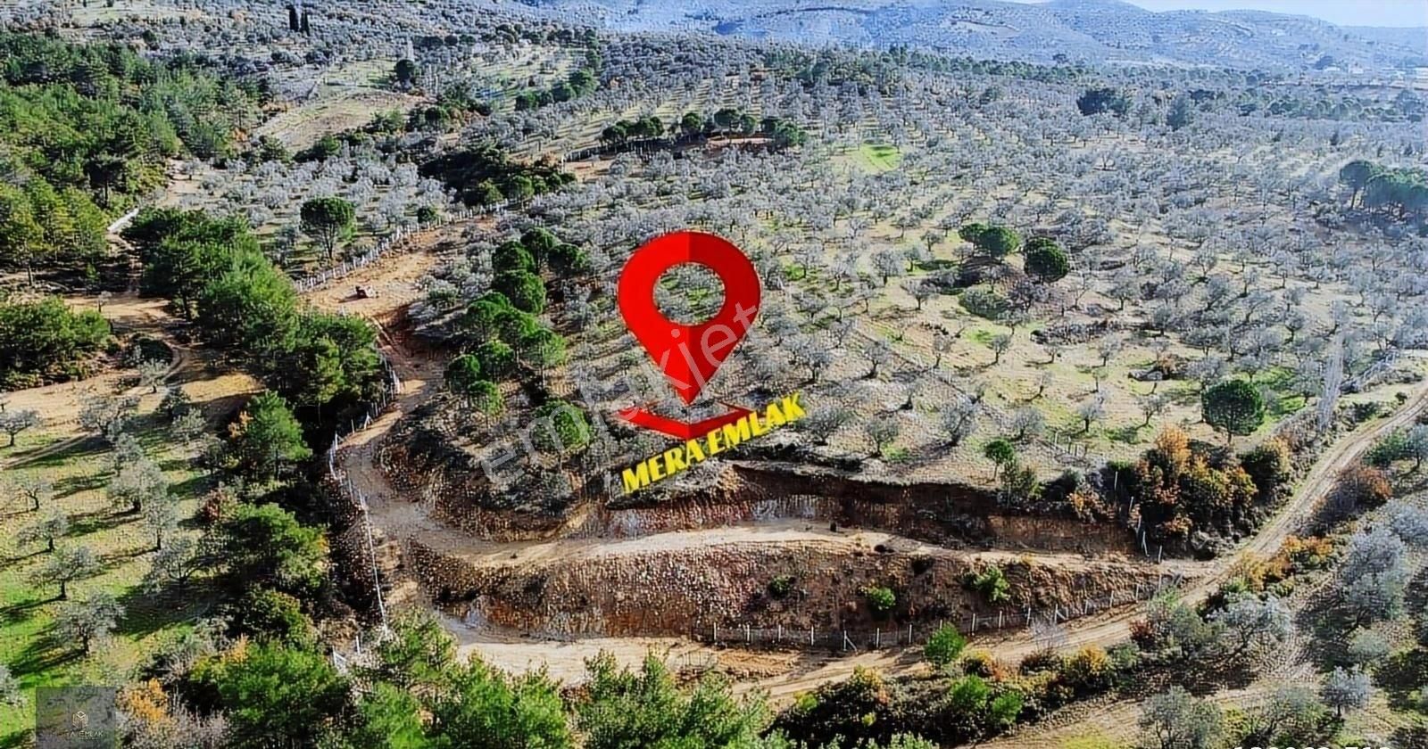 Mera Emlaktan Yaylaönü Köyü Resmi Yola Cephe 10.200m2 Zeytinlik - Görsel 6