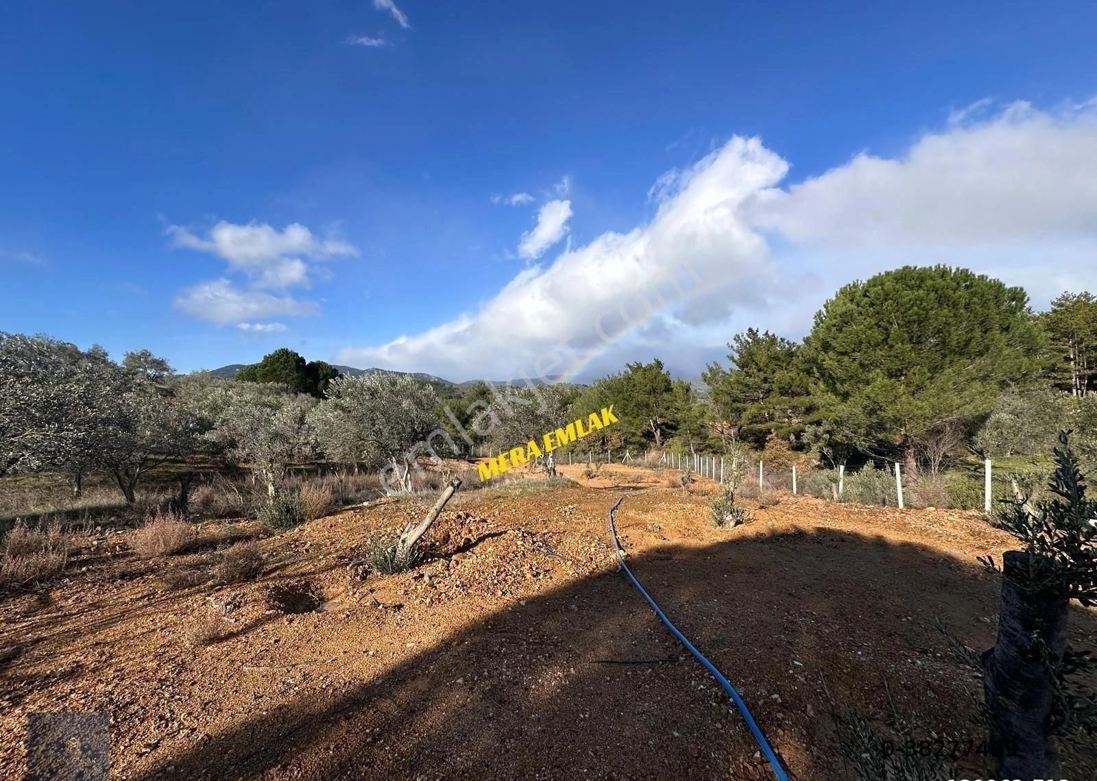 Mera Emlaktan Yaylaönü Köyü Resmi Yola Cephe 10.200m2 Zeytinlik - Görsel 5