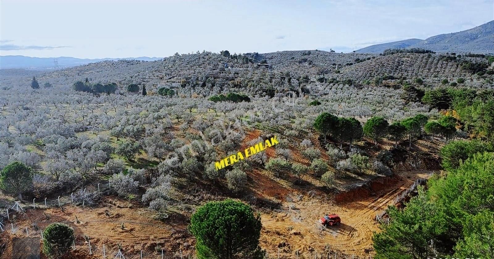 Mera Emlaktan Yaylaönü Köyü Resmi Yola Cephe 10.200m2 Zeytinlik - Görsel 21