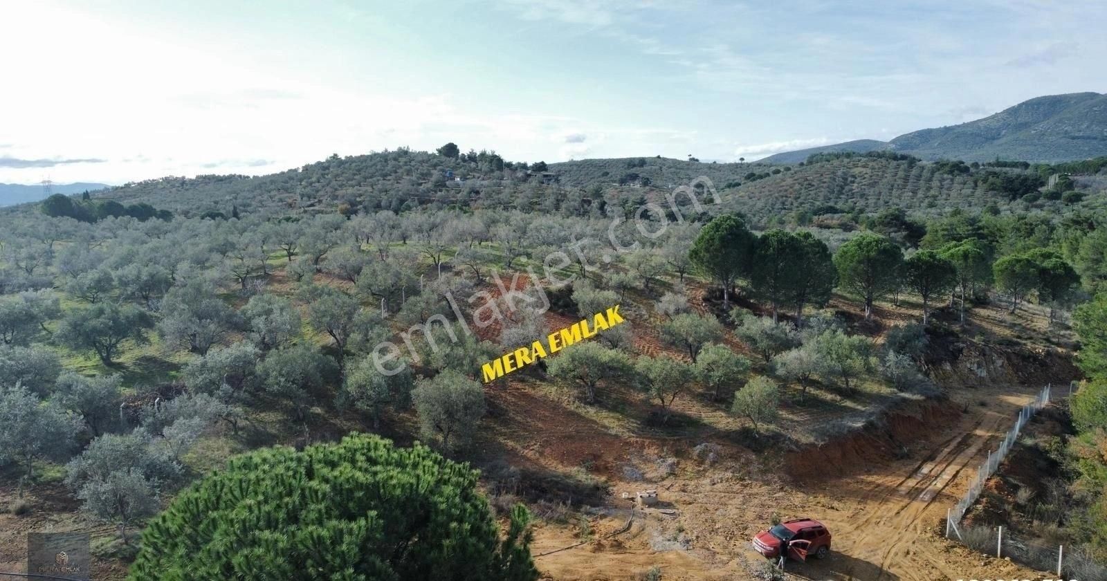 Mera Emlaktan Yaylaönü Köyü Resmi Yola Cephe 10.200m2 Zeytinlik - Görsel 23