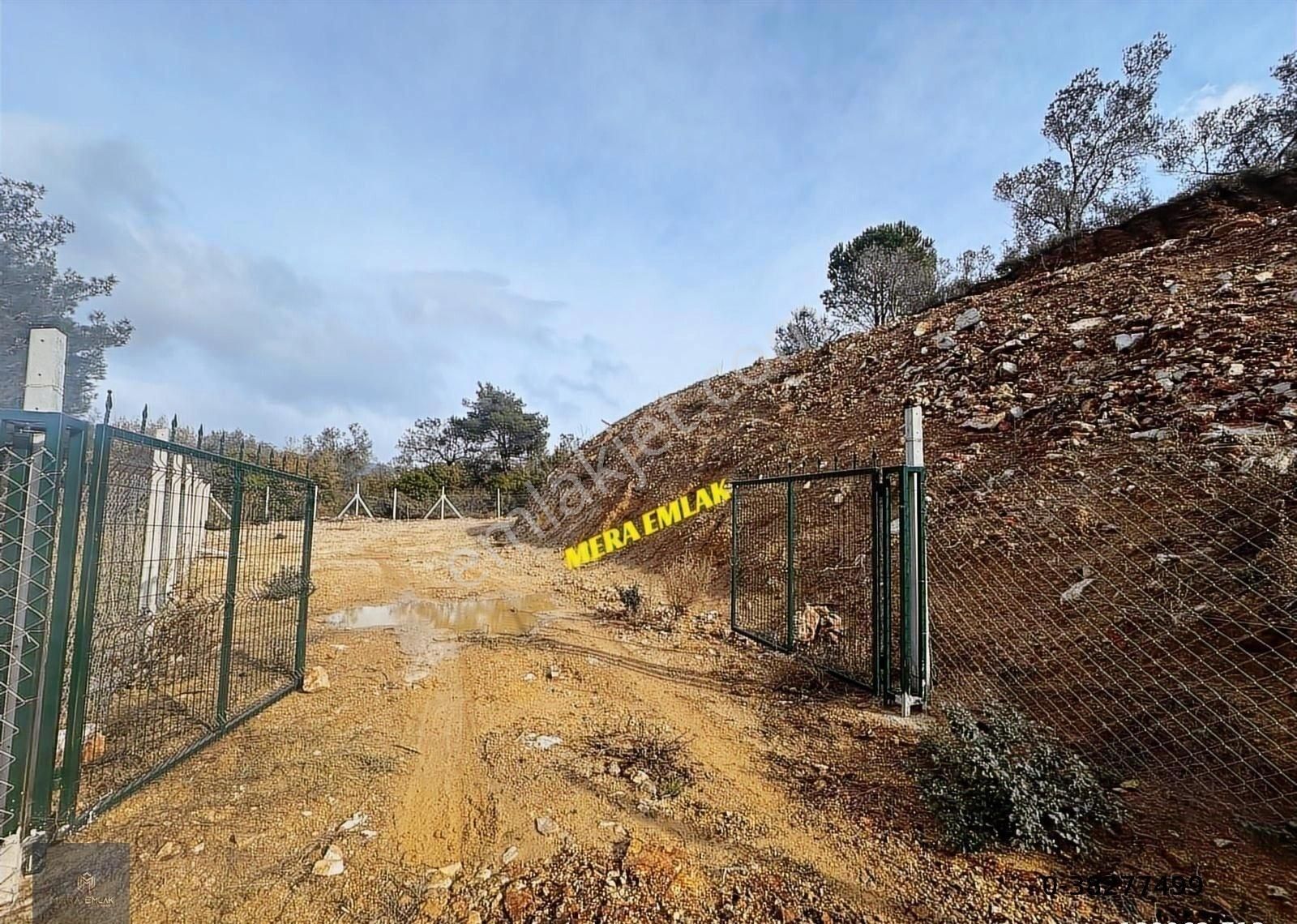 Mera Emlaktan Yaylaönü Köyü Resmi Yola Cephe 10.200m2 Zeytinlik - Görsel 15