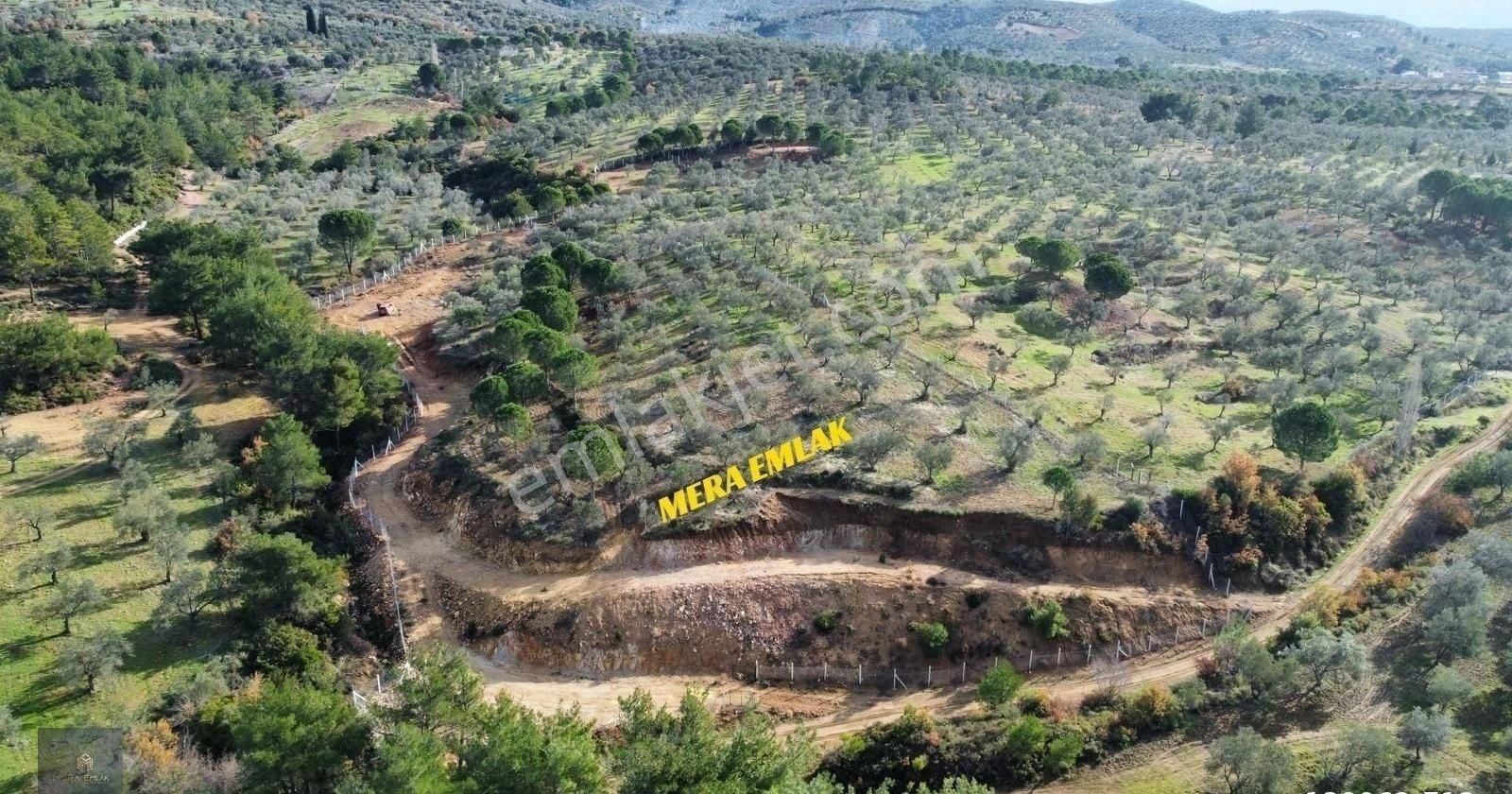Mera Emlaktan Yaylaönü Köyü Resmi Yola Cephe 10.200m2 Zeytinlik - Görsel 29