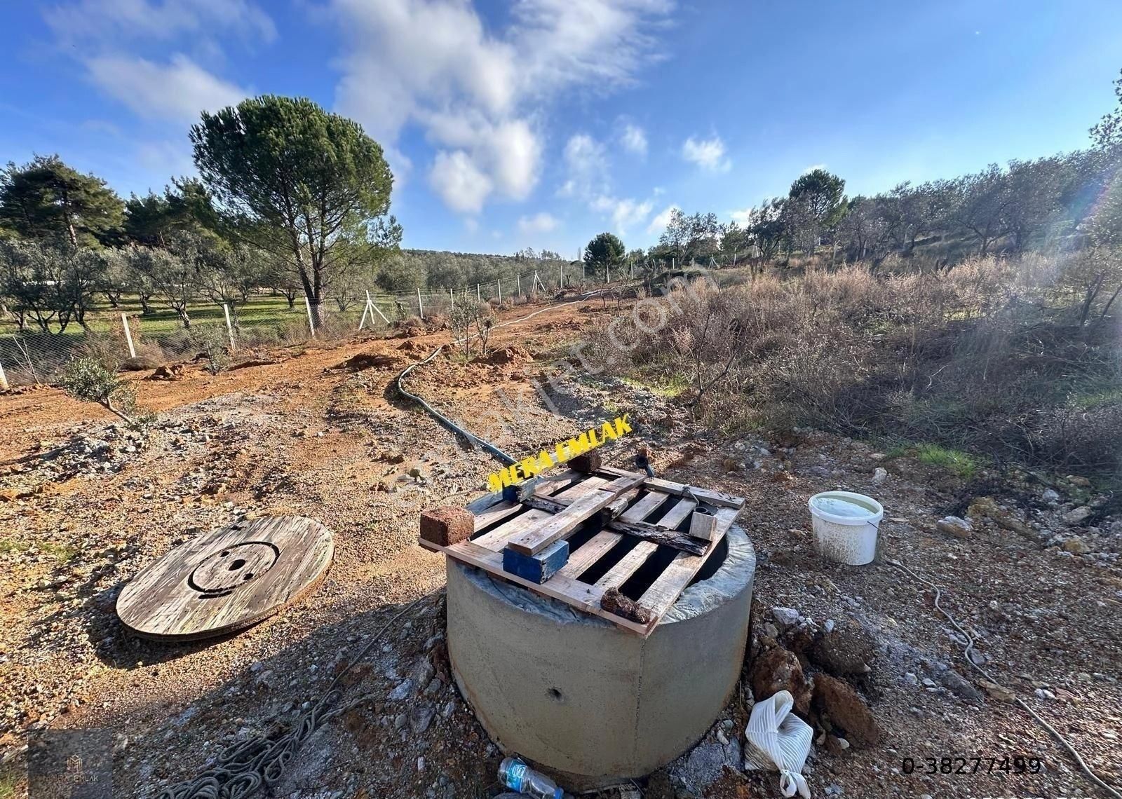 Mera Emlaktan Yaylaönü Köyü Resmi Yola Cephe 10.200m2 Zeytinlik - Görsel 25