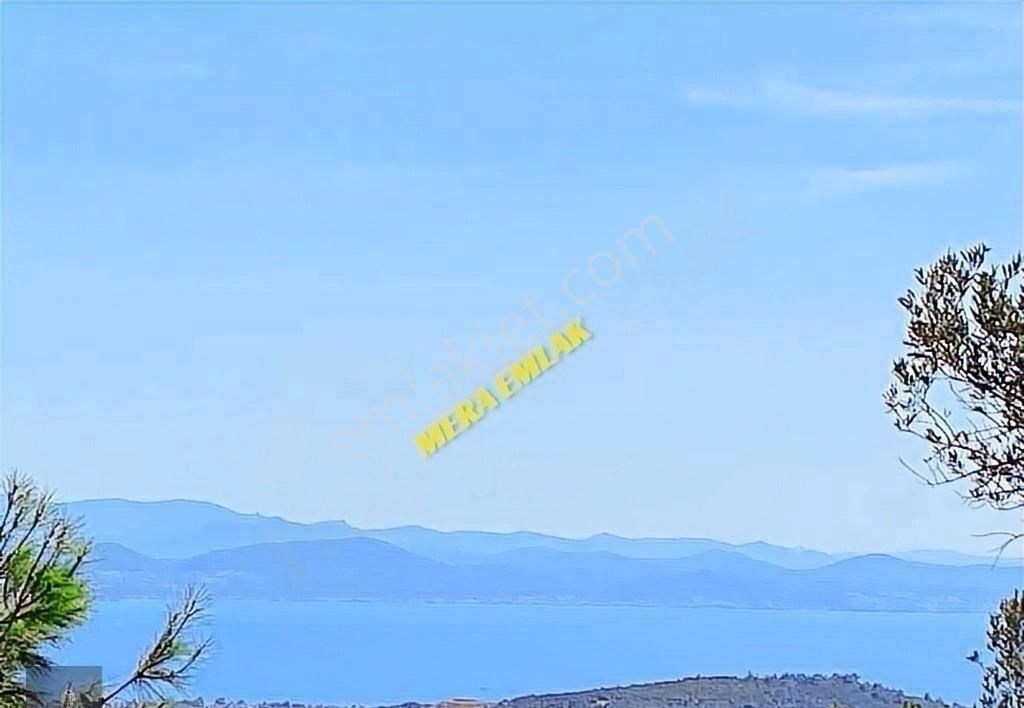 ▀▄mera Emlaktan Kızılkeçili Köyü İmara 500 Mt 12.300m2 Zeytinlik