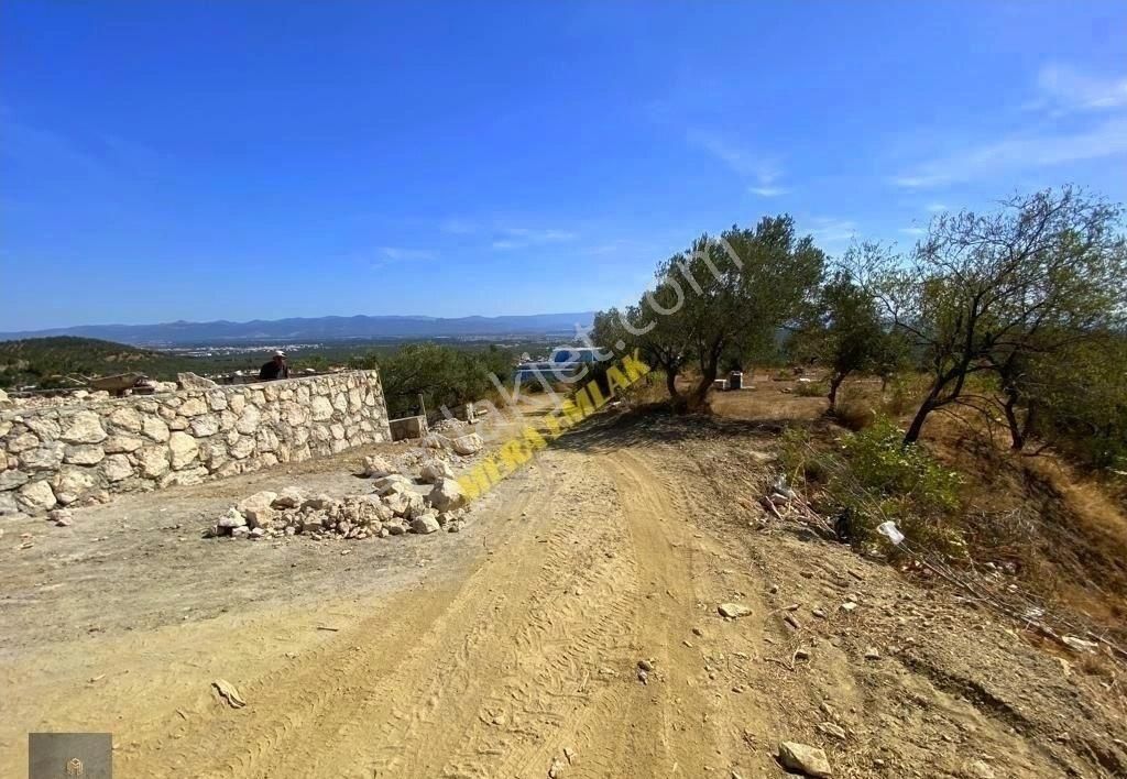 ▀▄mera Emlaktan Kızılkeçili Köyü İmara 500 Mt 12.300m2 Zeytinlik - Görsel 12