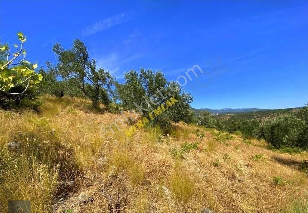 ▀▄mera Emlaktan Kızılkeçili Köyü İmara 500 Mt 12.300m2 Zeytinlik - Görsel 22