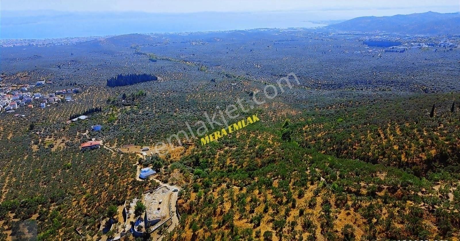 ▀▄mera Emlaktan Kızılkeçili Köyü İmara 500 Mt 12.300m2 Zeytinlik - Görsel 3