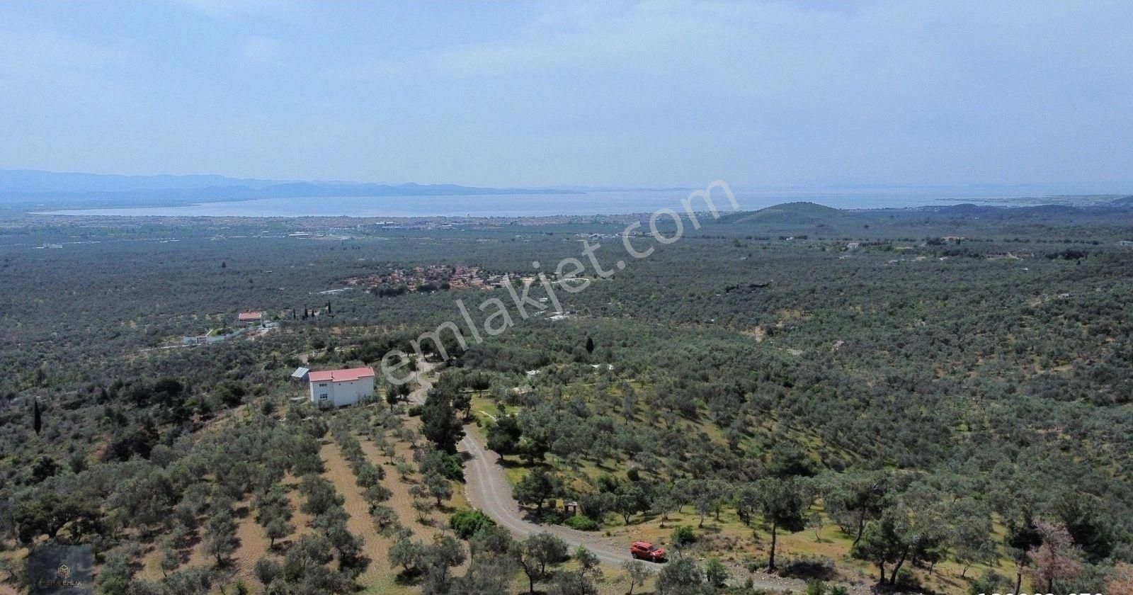 Mera Emlaktan Zeytinlide Panoramik Deniz Manz 10.000m2 Zeytinlik - Görsel 11