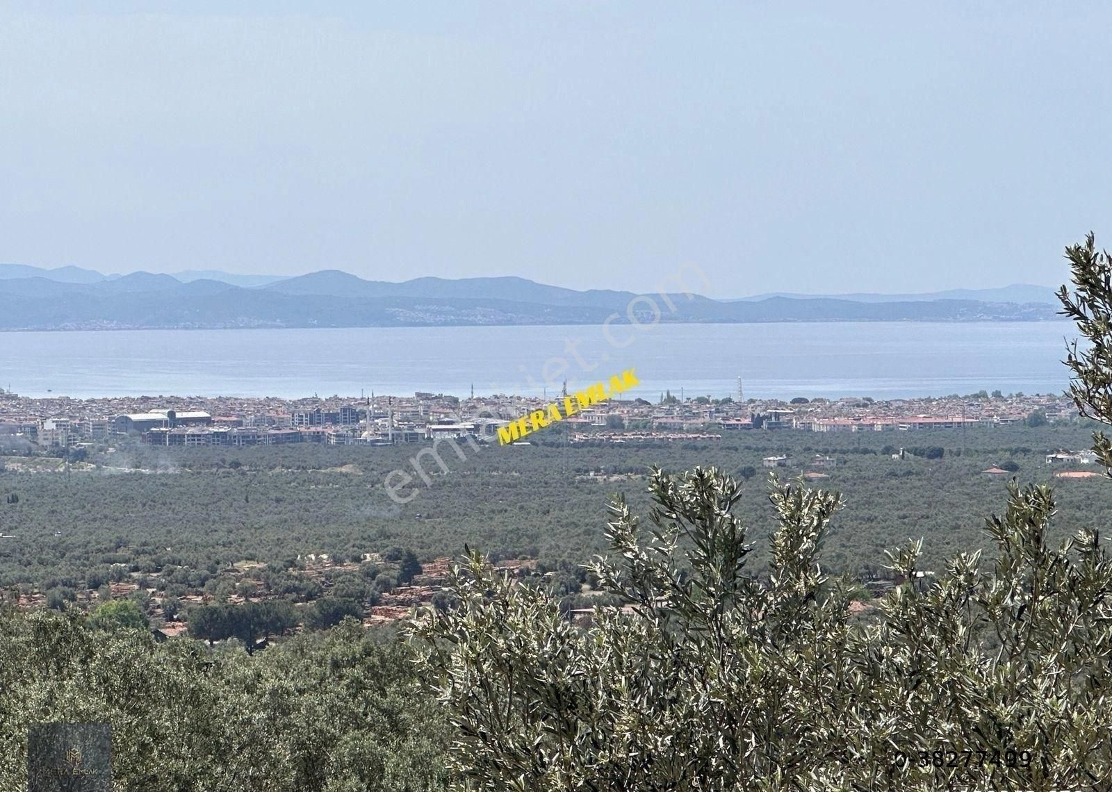 Mera Emlaktan Zeytinlide Panoramik Deniz Manz 10.000m2 Zeytinlik - Görsel 20