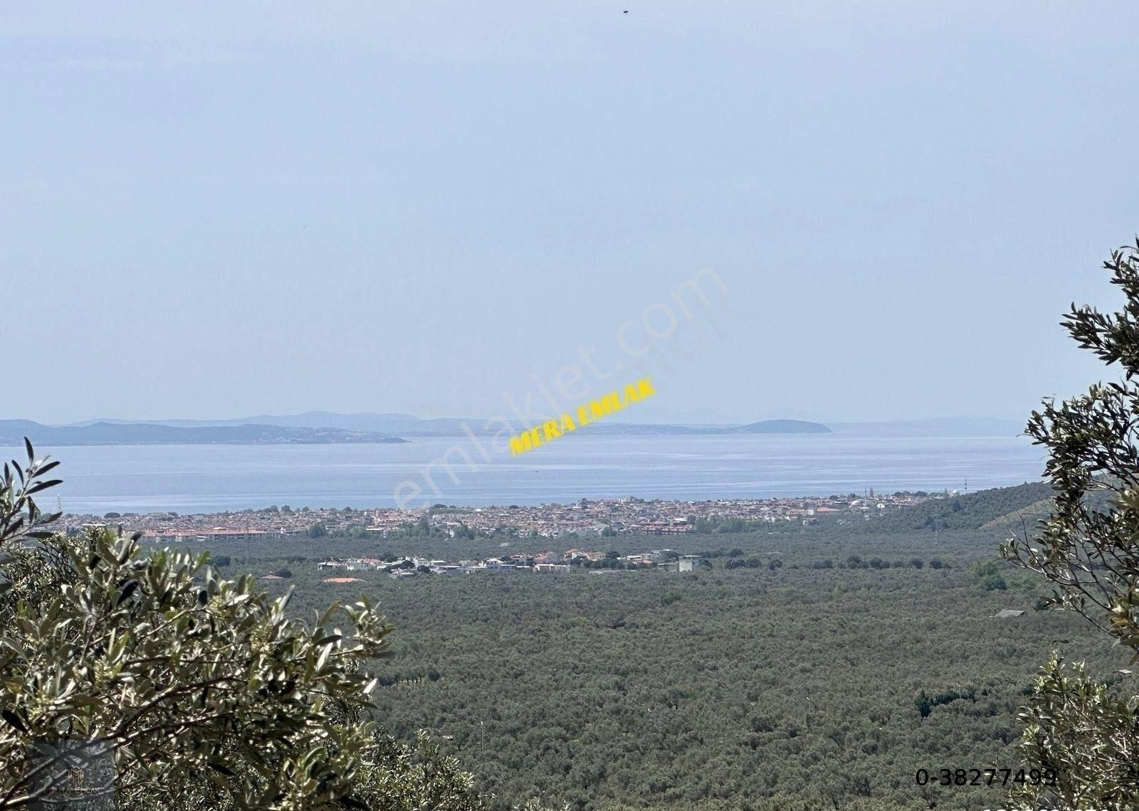 Mera Emlaktan Zeytinlide Panoramik Deniz Manz 10.000m2 Zeytinlik - Görsel 29