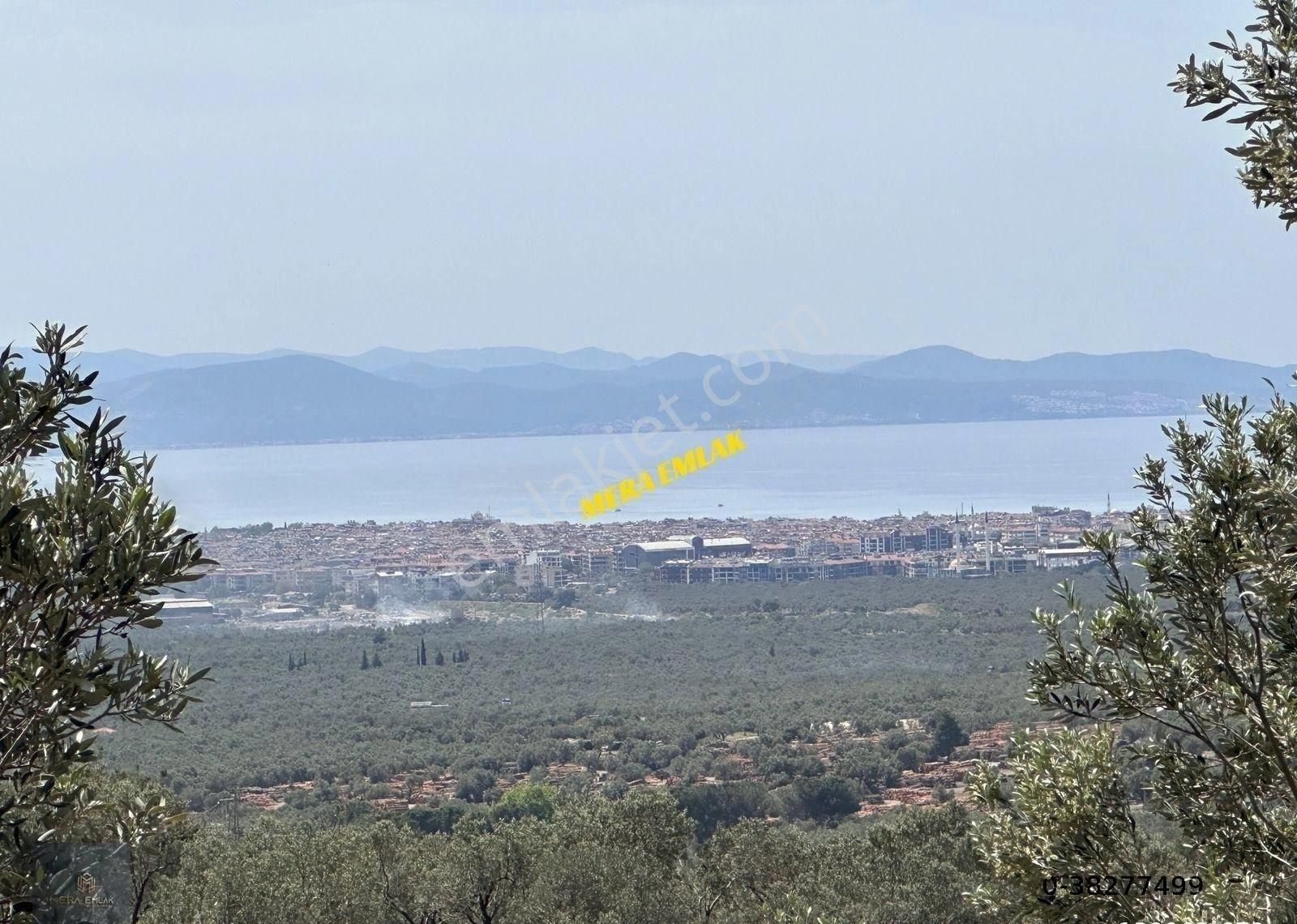 Mera Emlaktan Zeytinlide Panoramik Deniz Manz 10.000m2 Zeytinlik - Görsel 13