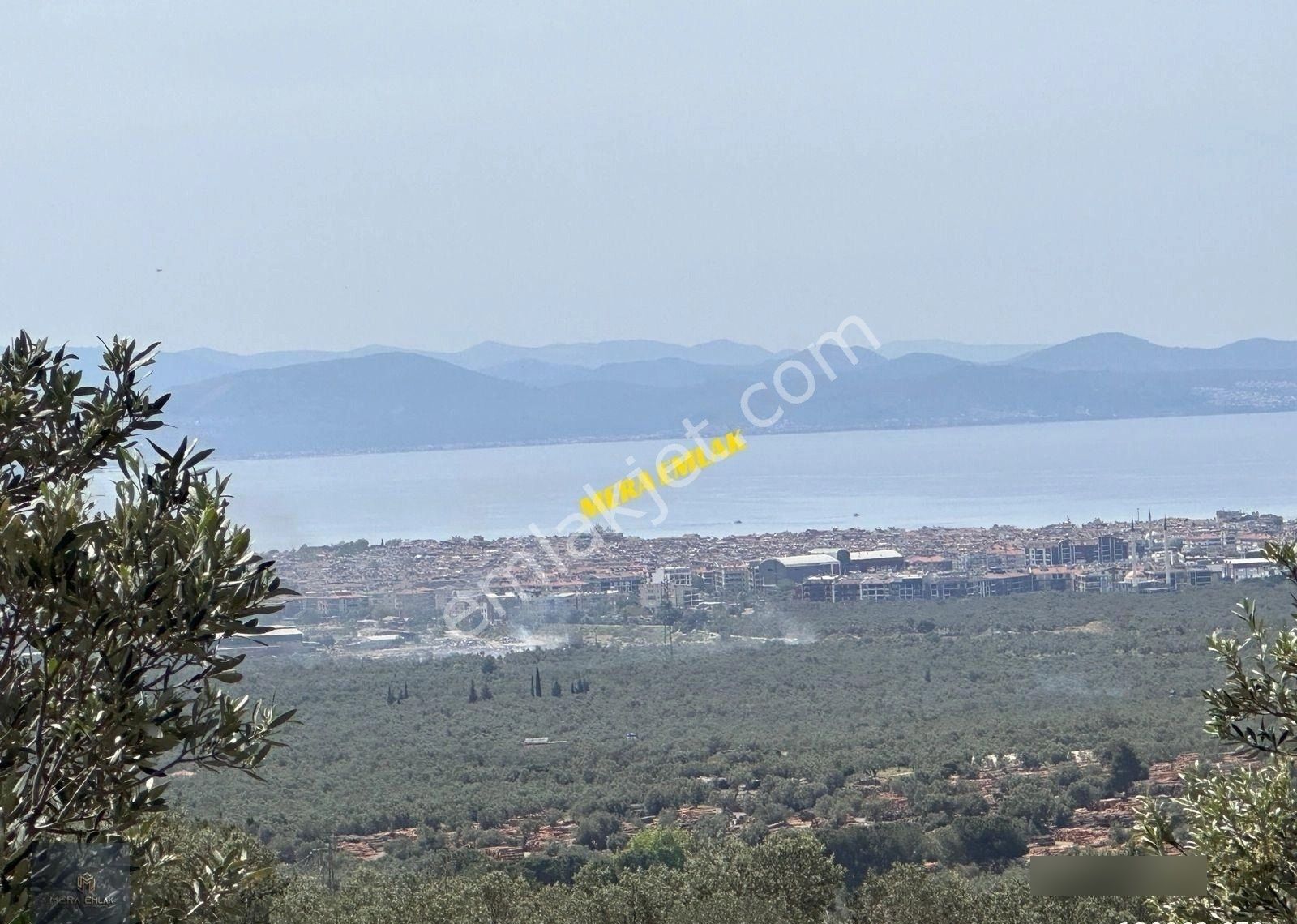 Mera Emlaktan Zeytinlide Panoramik Deniz Manz 10.000m2 Zeytinlik - Görsel 24