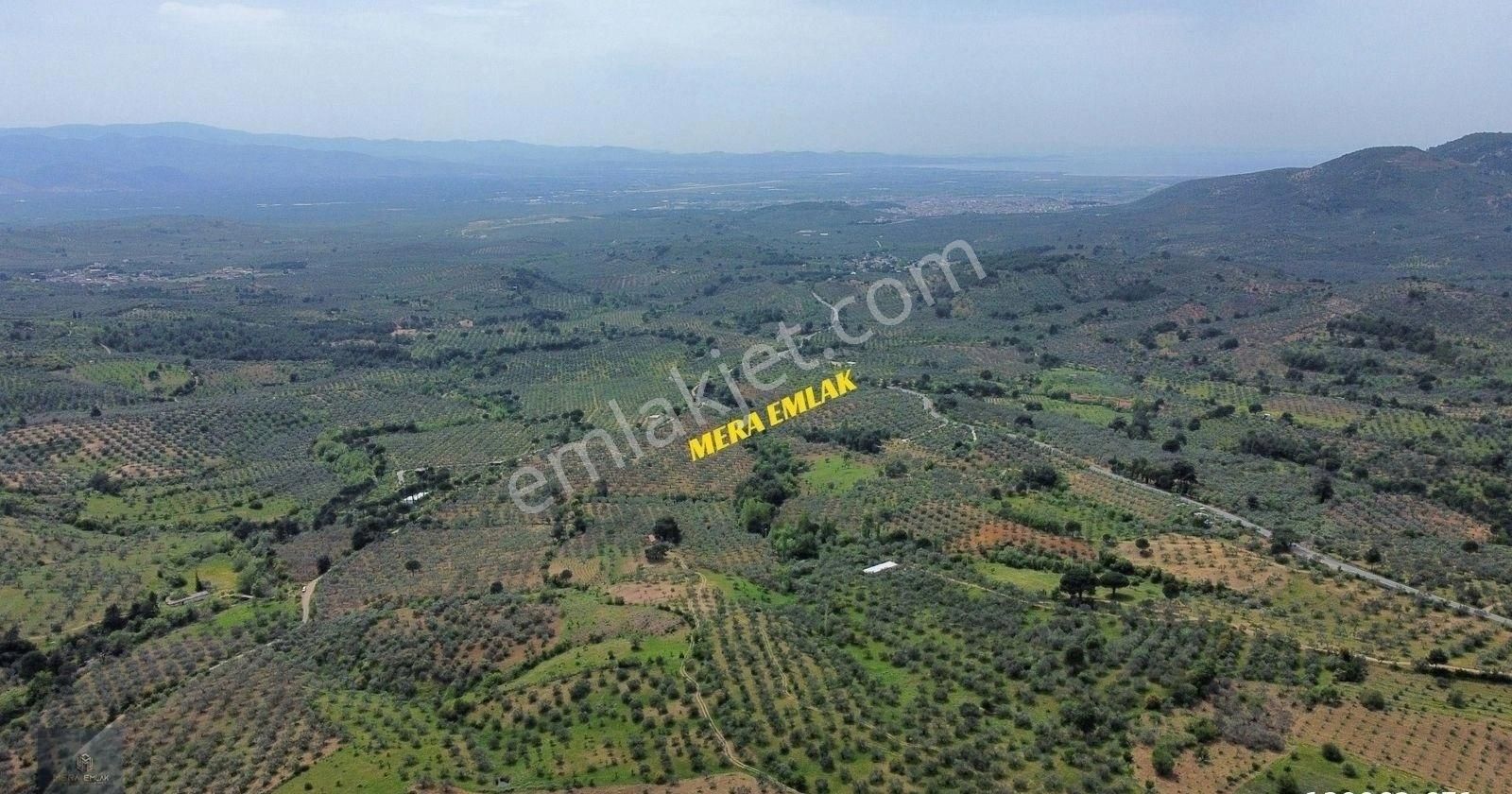 ▀▄mera Emlaktan Kazdağları Hacıarslanlar Köyü 3.550 M2 Zeytinlik - Görsel 14