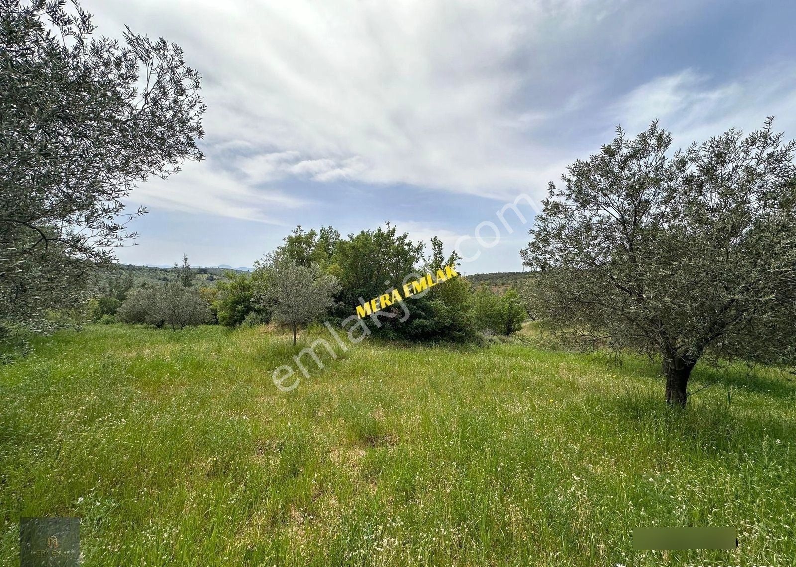 ▀▄mera Emlaktan Kazdağları Hacıarslanlar Köyü 3.550 M2 Zeytinlik - Görsel 24