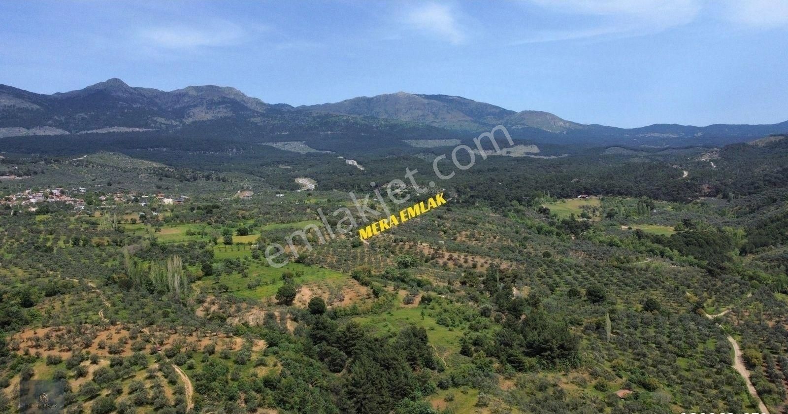 ▀▄mera Emlaktan Kazdağları Hacıarslanlar Köyü 3.550 M2 Zeytinlik - Görsel 18