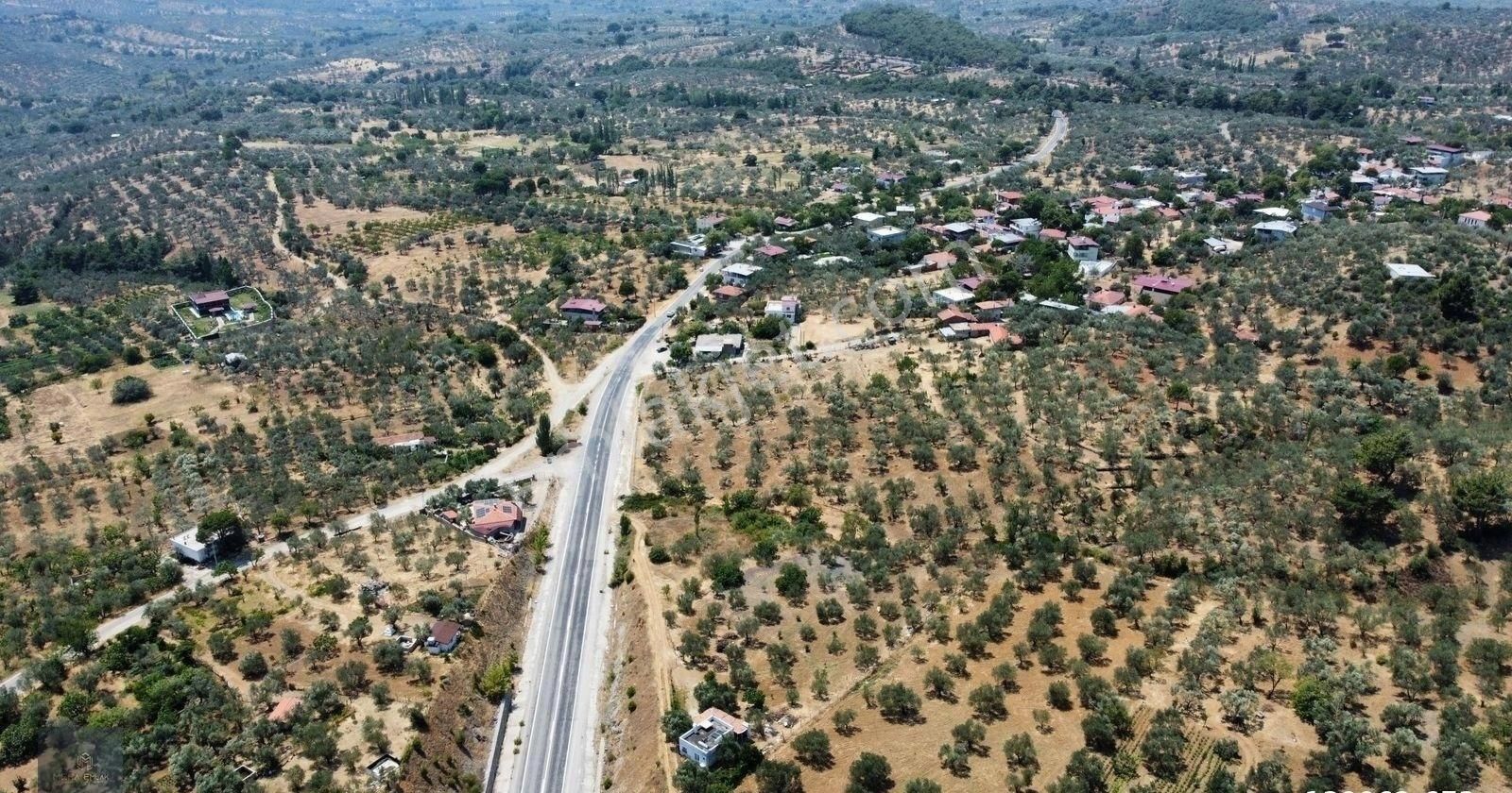 Mera Emlaktan Hacıarslanlar Köyü Asfalt Cepheli 1065m2 Zeytinlik - Görsel 34