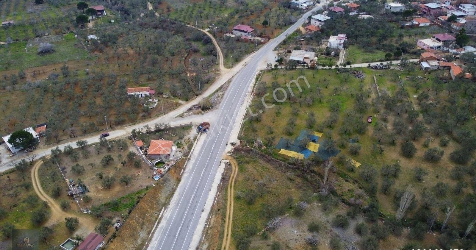 Mera Emlaktan Hacıarslanlar Köyü Asfalt Cepheli 1065m2 Zeytinlik - Görsel 20