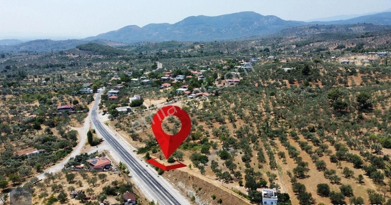 Mera Emlaktan Hacıarslanlar Köyü Asfalt Cepheli 1065m2 Zeytinlik - Görsel 32