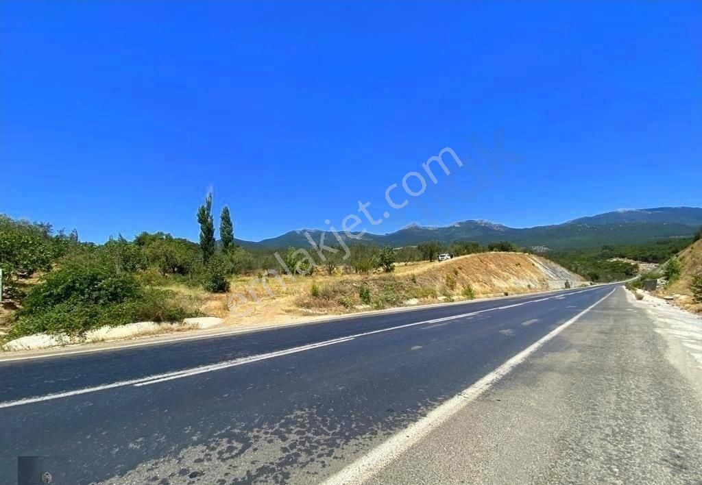 Mera Emlaktan Hacıarslanlar Köyü Asfalt Cepheli 1065m2 Zeytinlik - Görsel 31