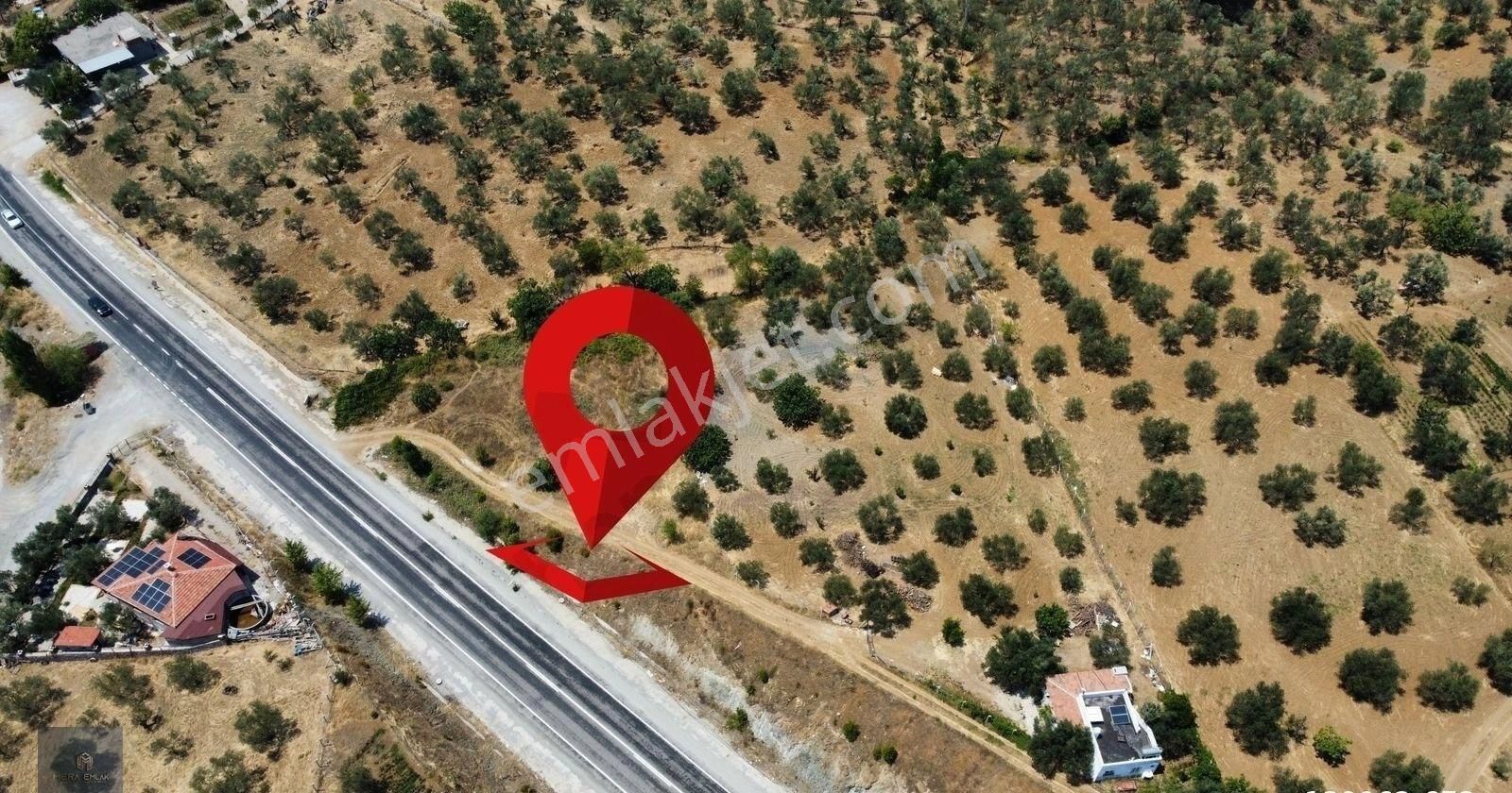 Mera Emlaktan Hacıarslanlar Köyü Asfalt Cepheli 1065m2 Zeytinlik - Görsel 13