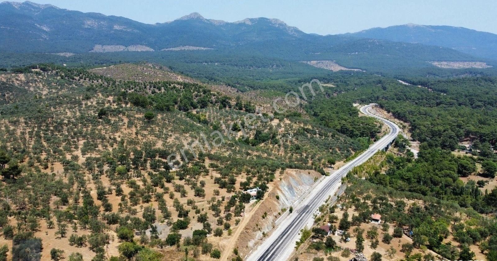 Mera Emlaktan Hacıarslanlar Köyü Asfalt Cepheli 1065m2 Zeytinlik - Görsel 22