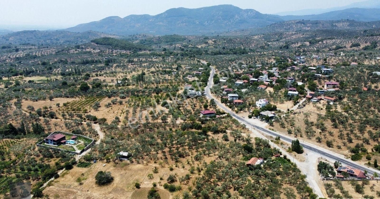 Mera Emlaktan Hacıarslanlar Köyü Asfalt Cepheli 1065m2 Zeytinlik - Görsel 17
