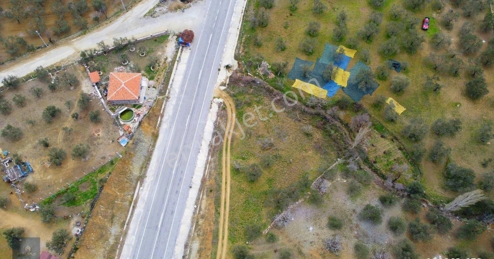Mera Emlaktan Hacıarslanlar Köyü Asfalt Cepheli 1065m2 Zeytinlik - Görsel 10