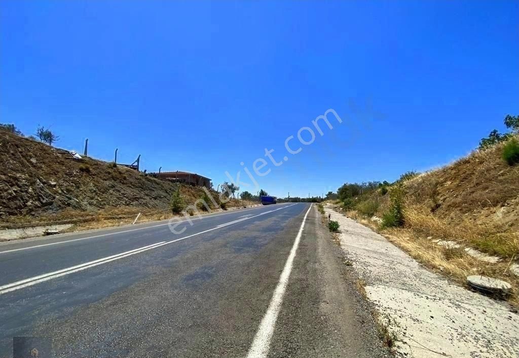 Mera Emlaktan Hacıarslanlar Köyü Asfalt Cepheli 1065m2 Zeytinlik - Görsel 24