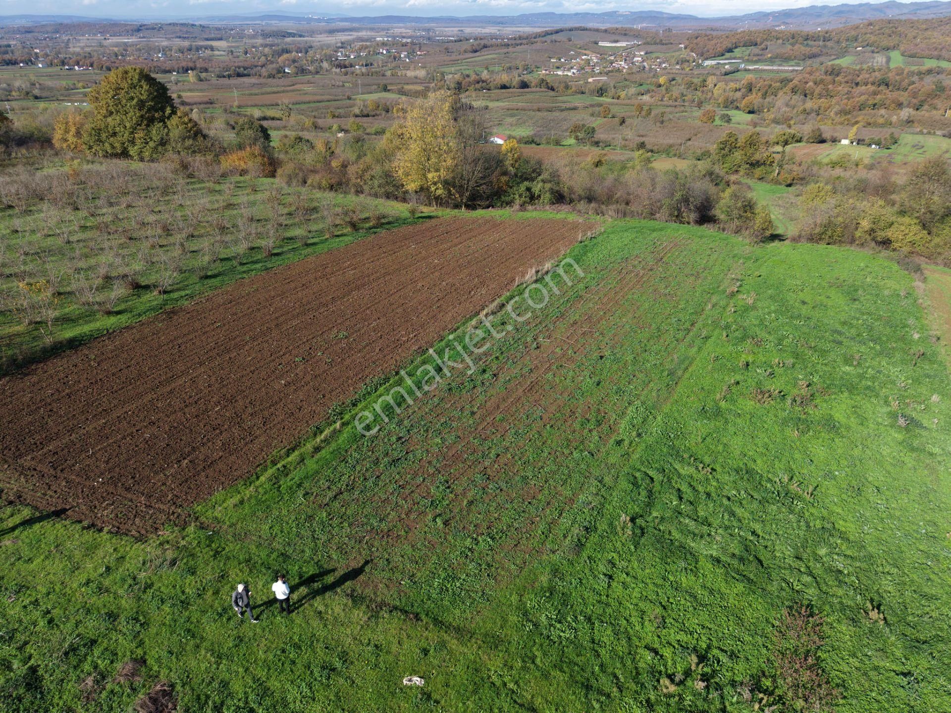 Emlakevim - Şeyhler Mahallesinde Satılık 908 M2 Tarla ! - Görsel 3