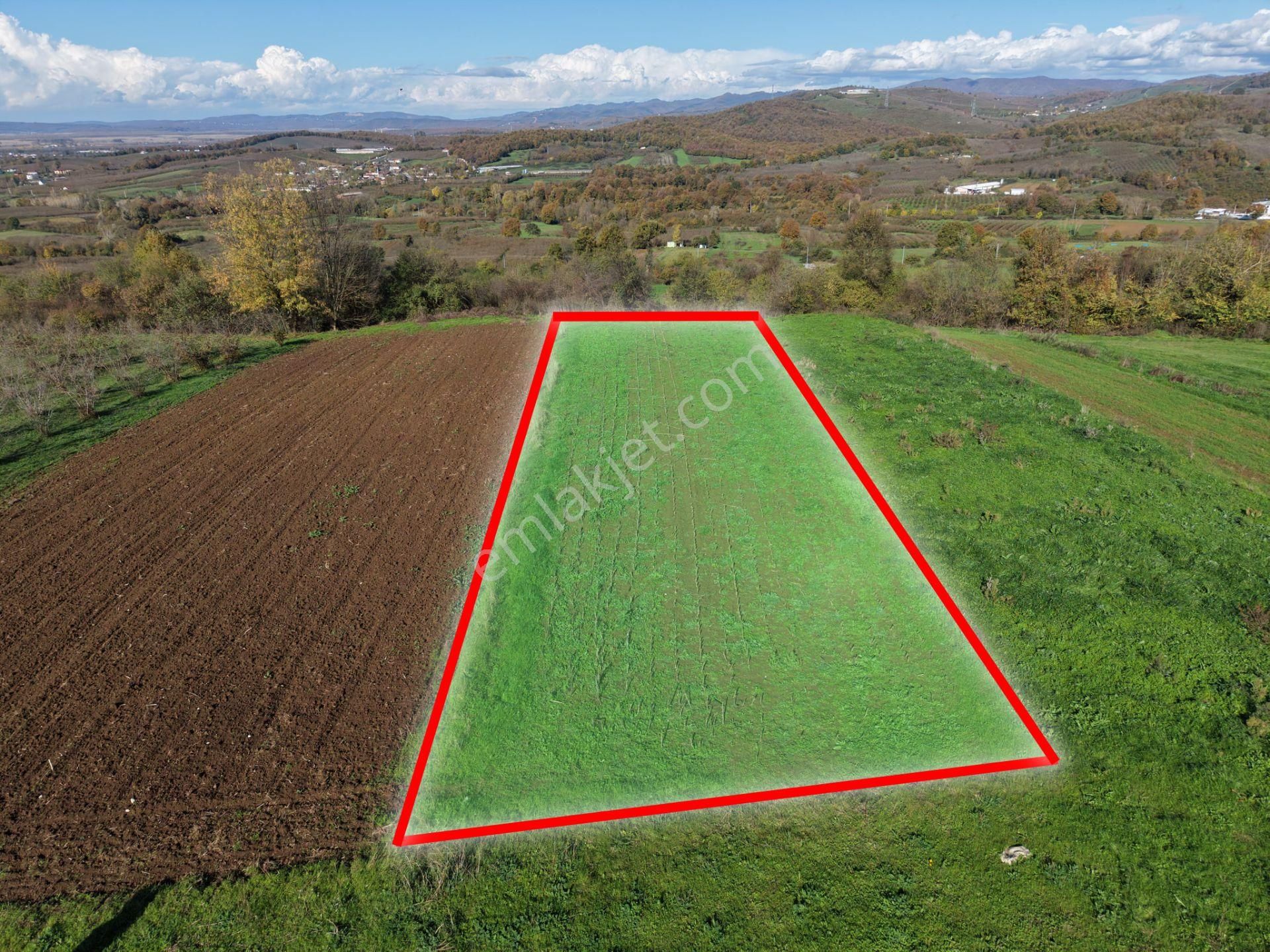 Emlakevim - Şeyhler Mahallesinde Satılık 908 M2 Tarla !