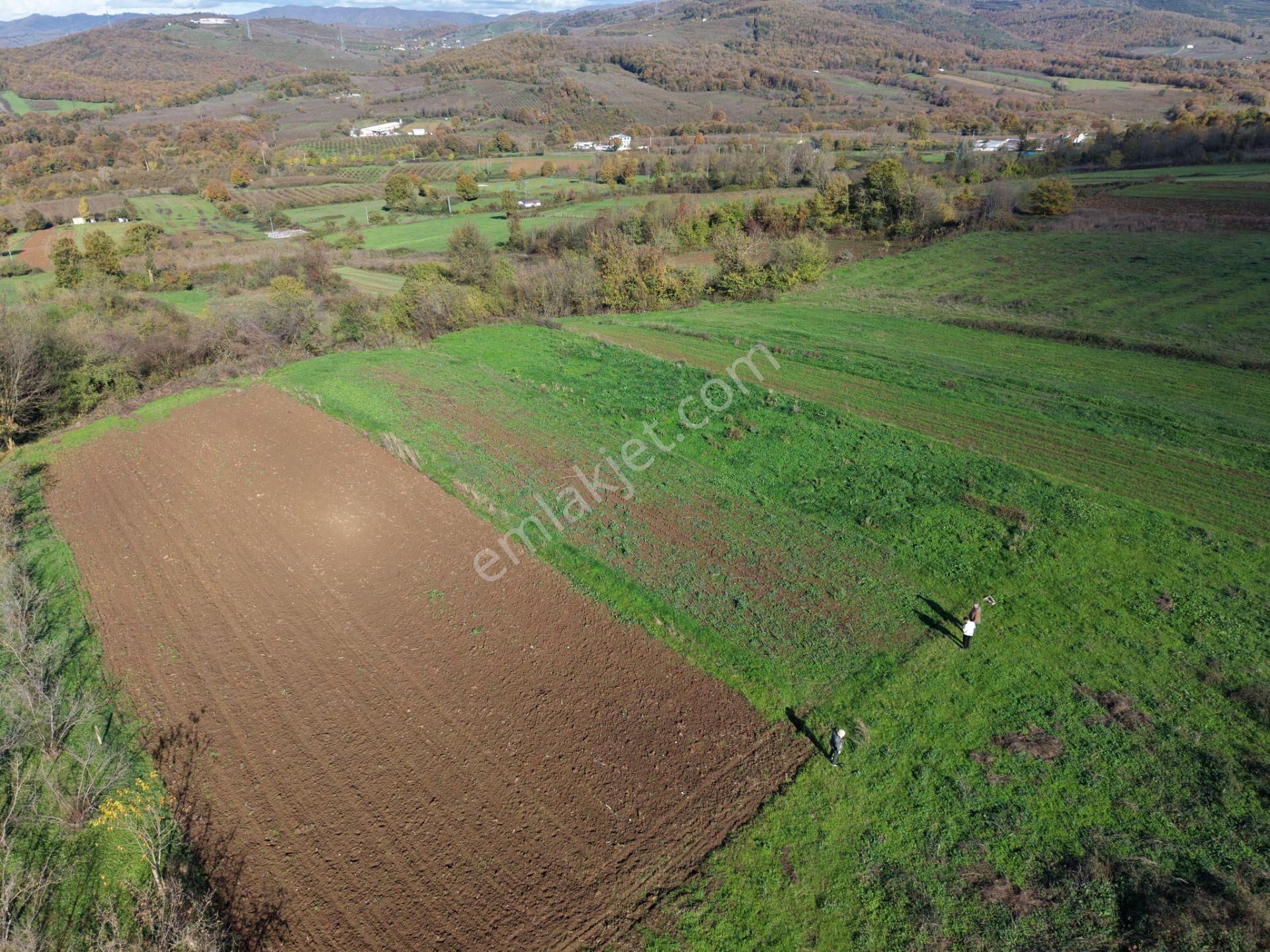 Emlakevim - Şeyhler Mahallesinde Satılık 908 M2 Tarla ! - Görsel 20