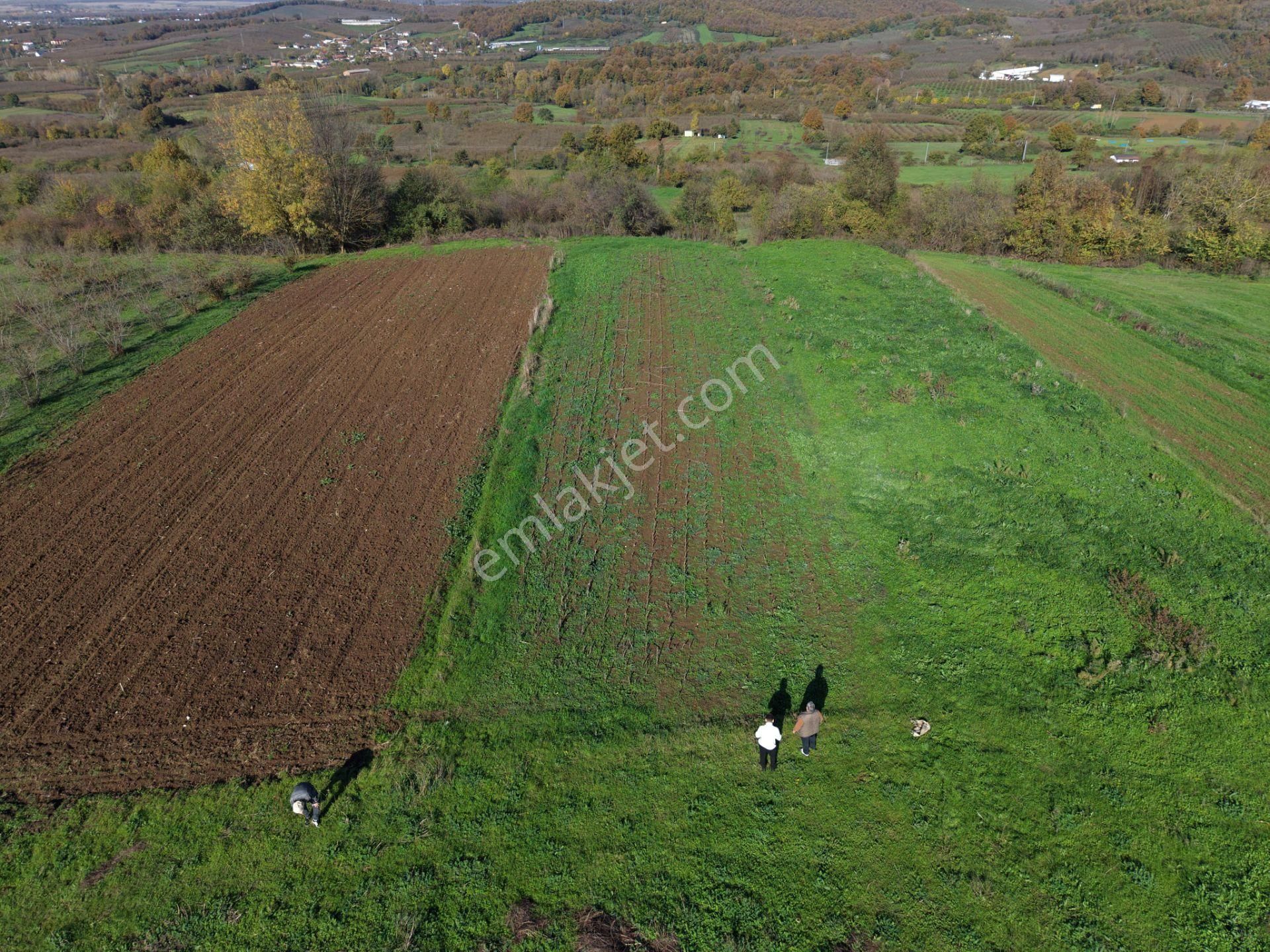 Emlakevim - Şeyhler Mahallesinde Satılık 908 M2 Tarla ! - Görsel 21