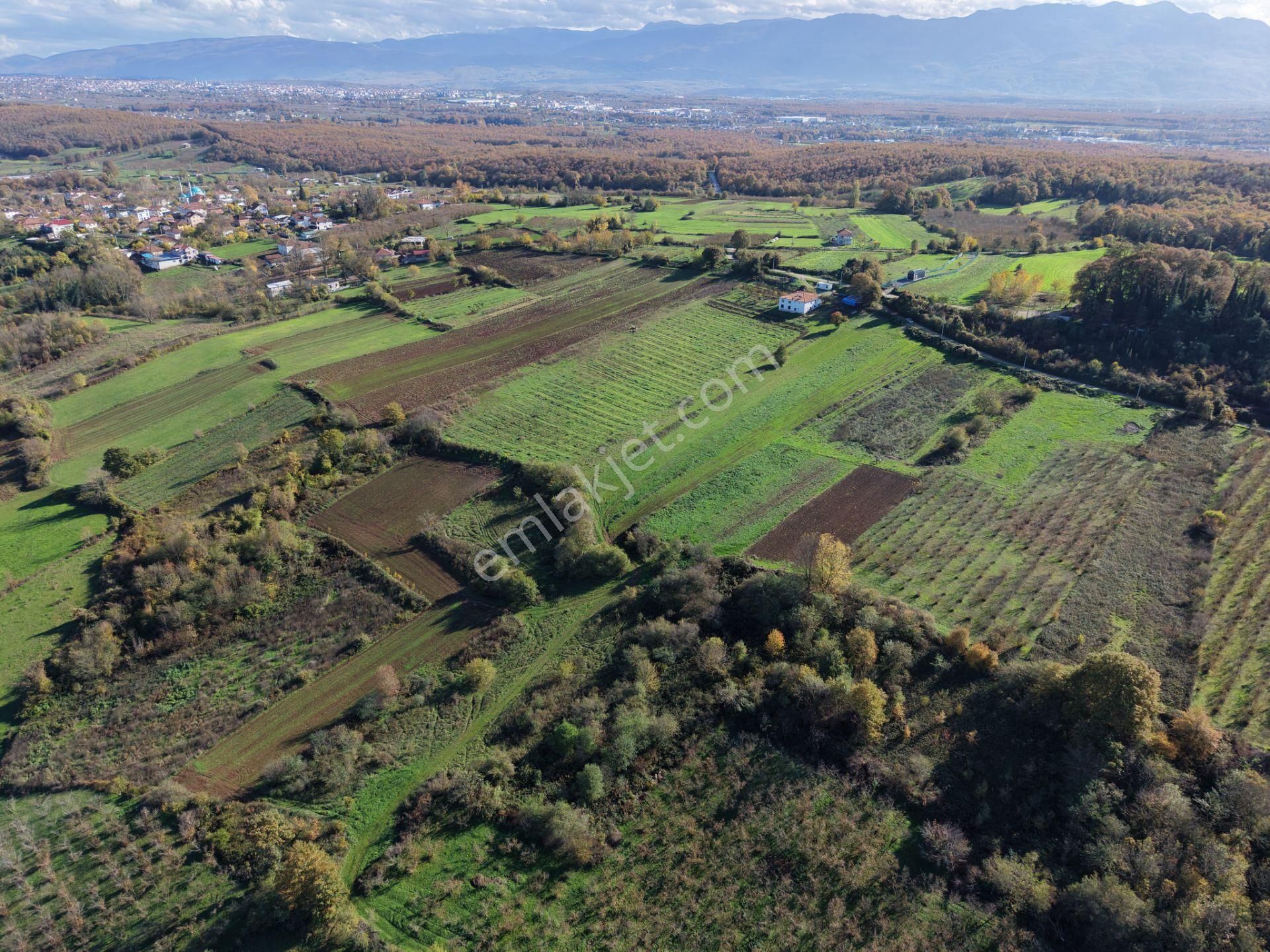 Emlakevim - Şeyhler Mahallesinde Satılık 908 M2 Tarla ! - Görsel 32