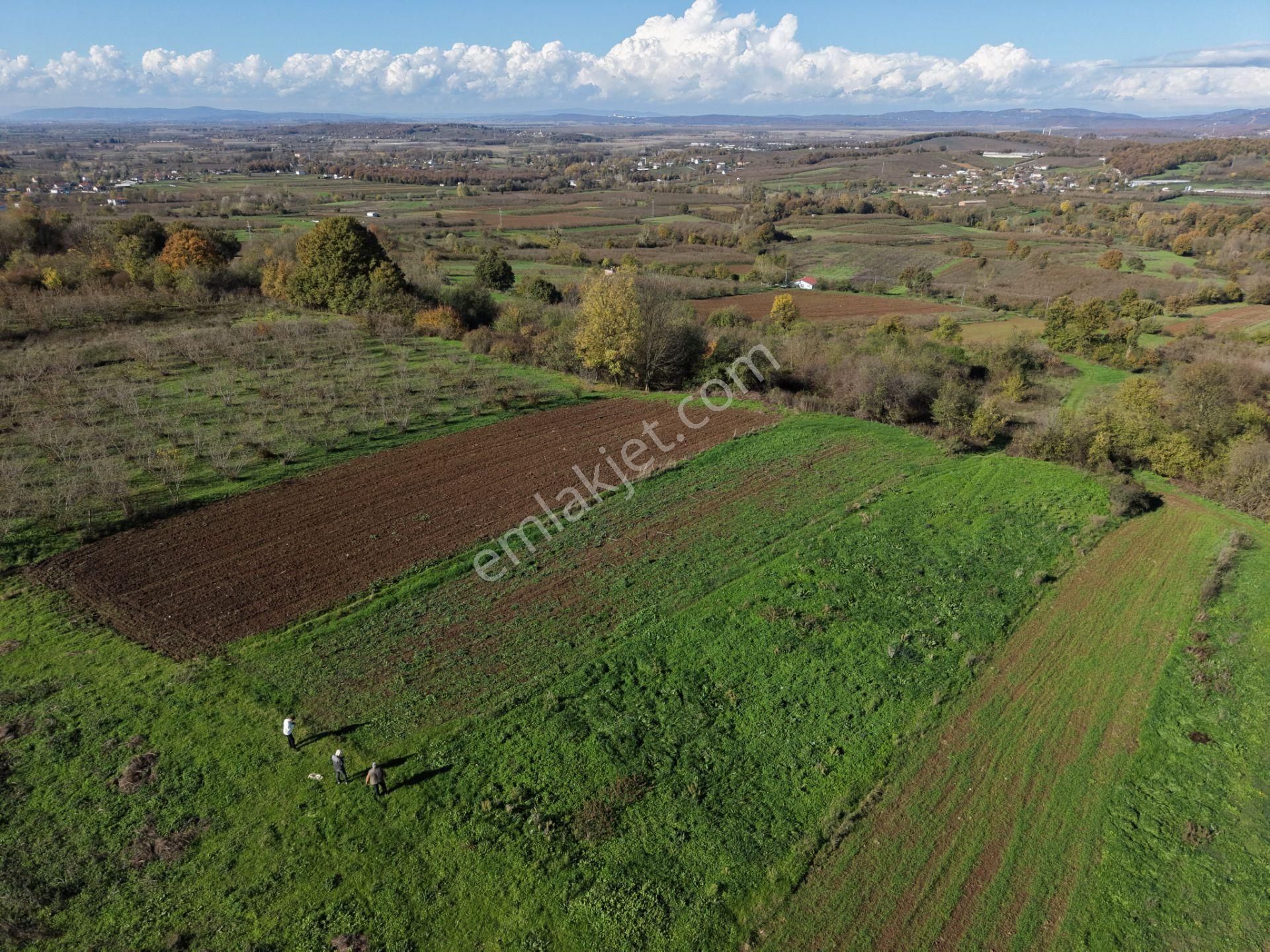 Emlakevim - Şeyhler Mahallesinde Satılık 908 M2 Tarla ! - Görsel 7