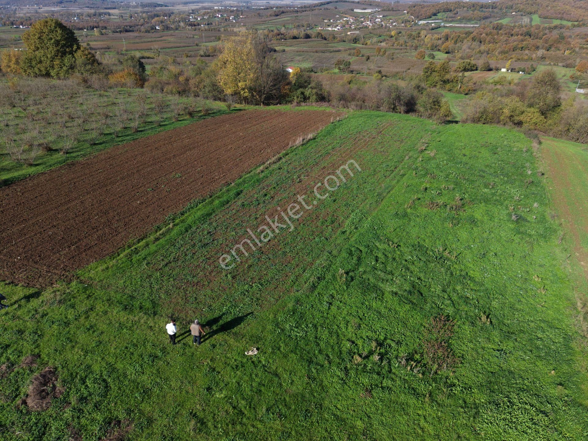 Emlakevim - Şeyhler Mahallesinde Satılık 908 M2 Tarla ! - Görsel 23