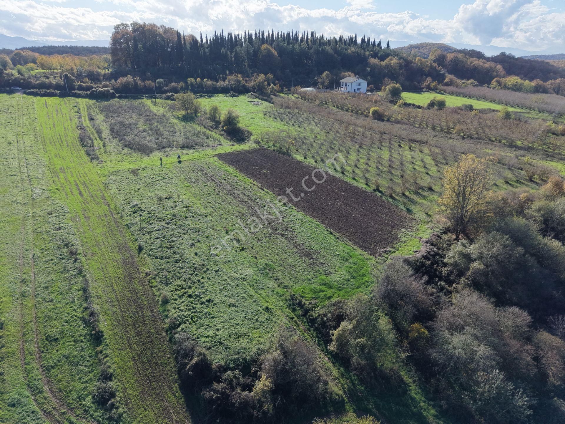 Emlakevim - Şeyhler Mahallesinde Satılık 908 M2 Tarla ! - Görsel 13