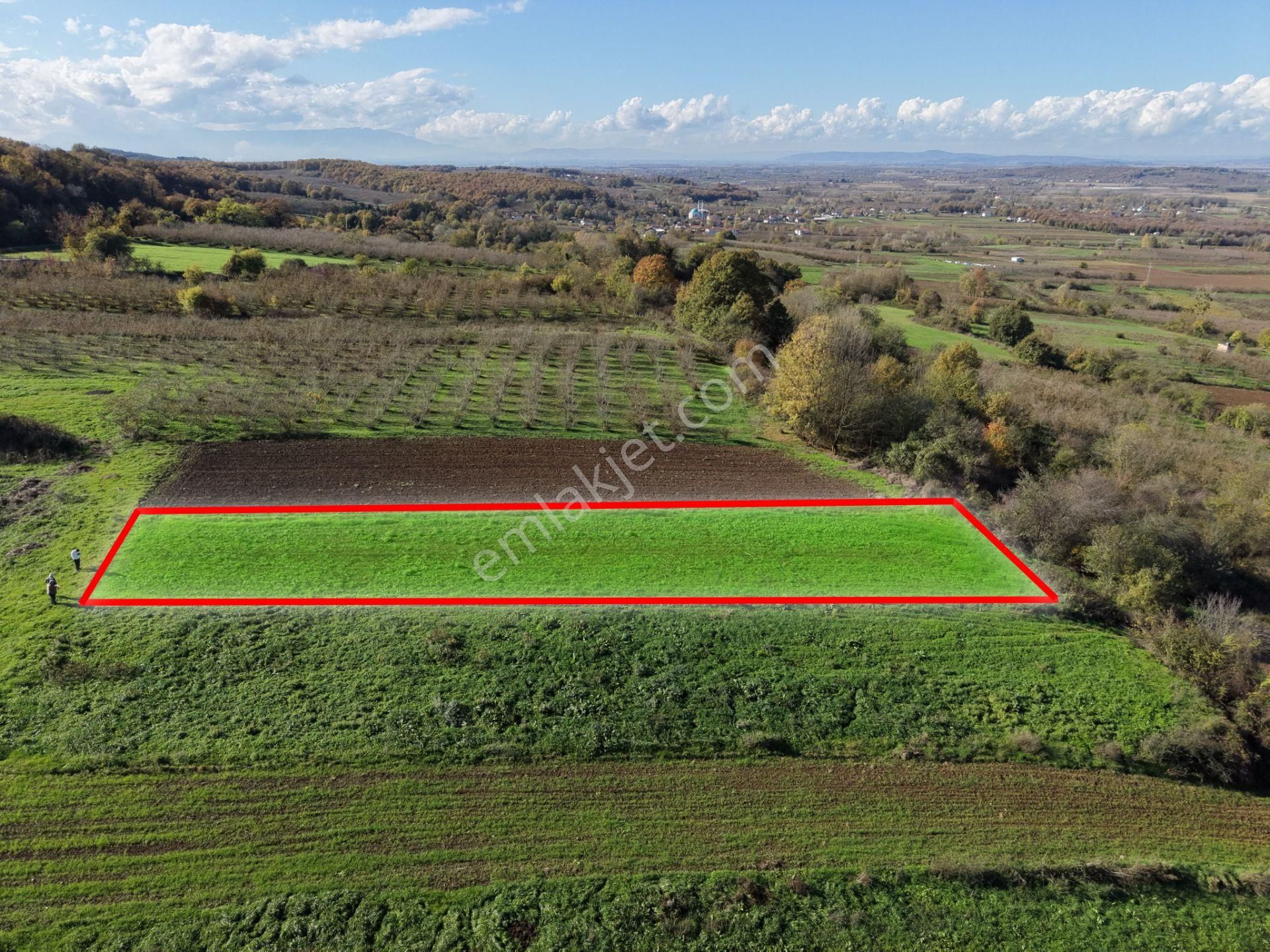 Emlakevim - Şeyhler Mahallesinde Satılık 908 M2 Tarla ! - Görsel 9