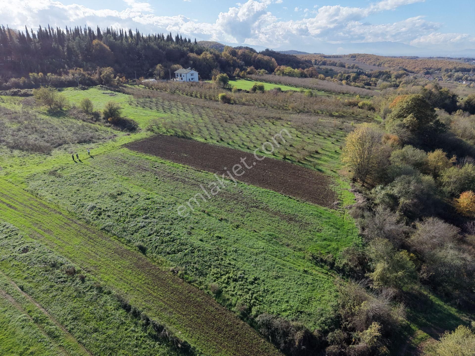 Emlakevim - Şeyhler Mahallesinde Satılık 908 M2 Tarla ! - Görsel 12