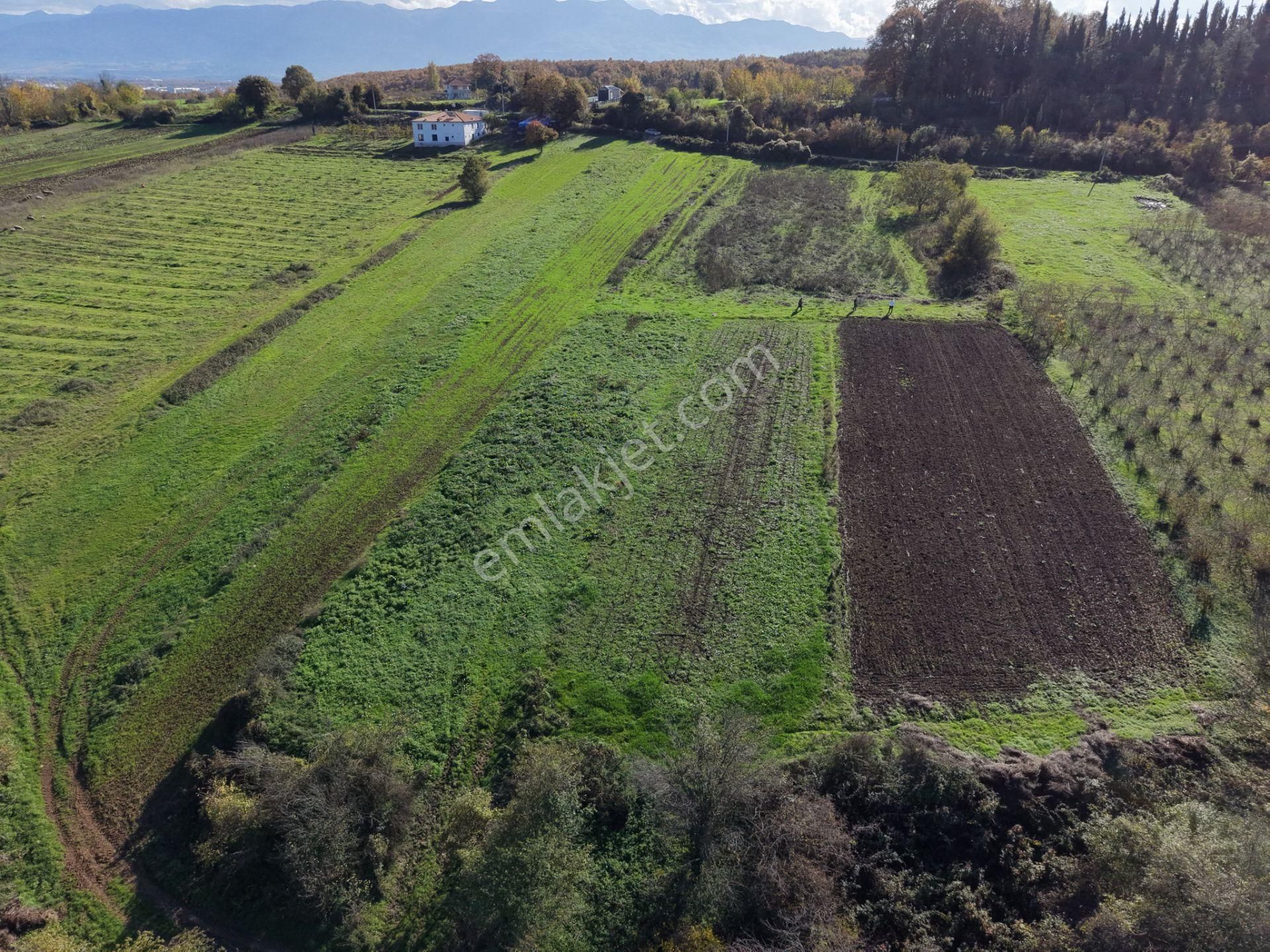 Emlakevim - Şeyhler Mahallesinde Satılık 908 M2 Tarla ! - Görsel 26