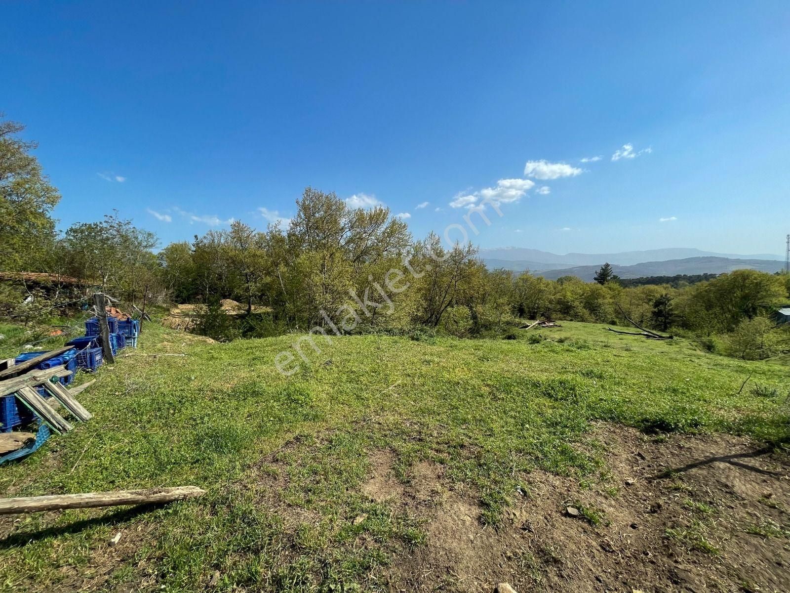 Eu Gayrimenkul'den Çanakkale Bayramiç Yeşilköy Mevkiinde 254 M2 40/80 İmarlı Arsa - Görsel 28