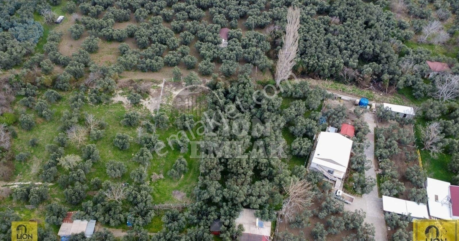 🟨⬛lıon Emlak'tan Erdek Halitpaşa Mahallesinde Kabaktarla Mevkii 1.001m² Satılık Arazi⬛🟨 - Görsel 12