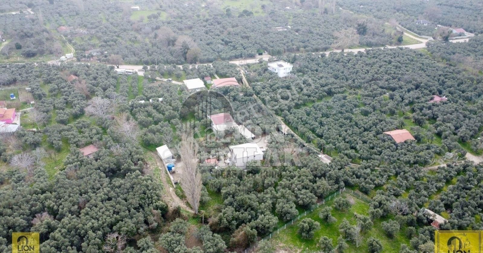 🟨⬛lıon Emlak'tan Erdek Halitpaşa Mahallesinde Kabaktarla Mevkii 1.001m² Satılık Arazi⬛🟨 - Görsel 25