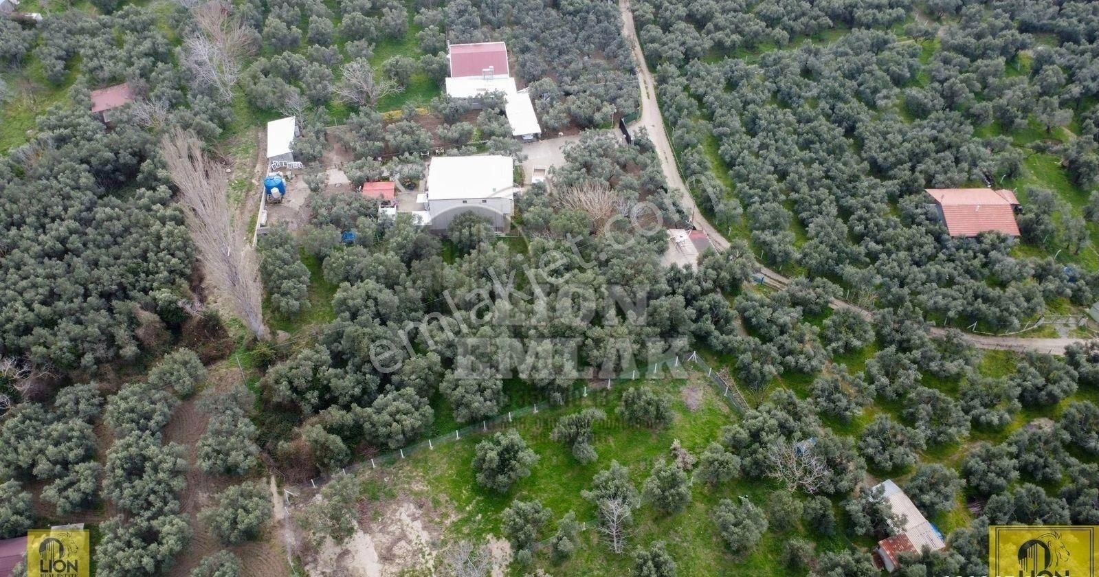 🟨⬛lıon Emlak'tan Erdek Halitpaşa Mahallesinde Kabaktarla Mevkii 1.001m² Satılık Arazi⬛🟨 - Görsel 24