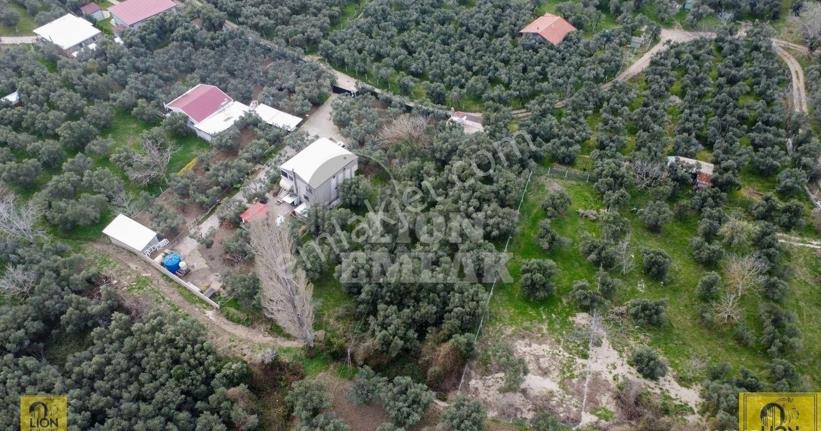 🟨⬛lıon Emlak'tan Erdek Halitpaşa Mahallesinde Kabaktarla Mevkii 1.001m² Satılık Arazi⬛🟨 - Görsel 28