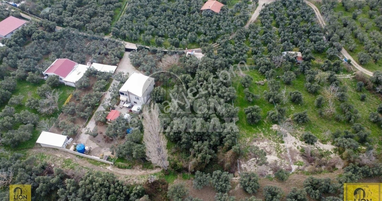 🟨⬛lıon Emlak'tan Erdek Halitpaşa Mahallesinde Kabaktarla Mevkii 1.001m² Satılık Arazi⬛🟨 - Görsel 13